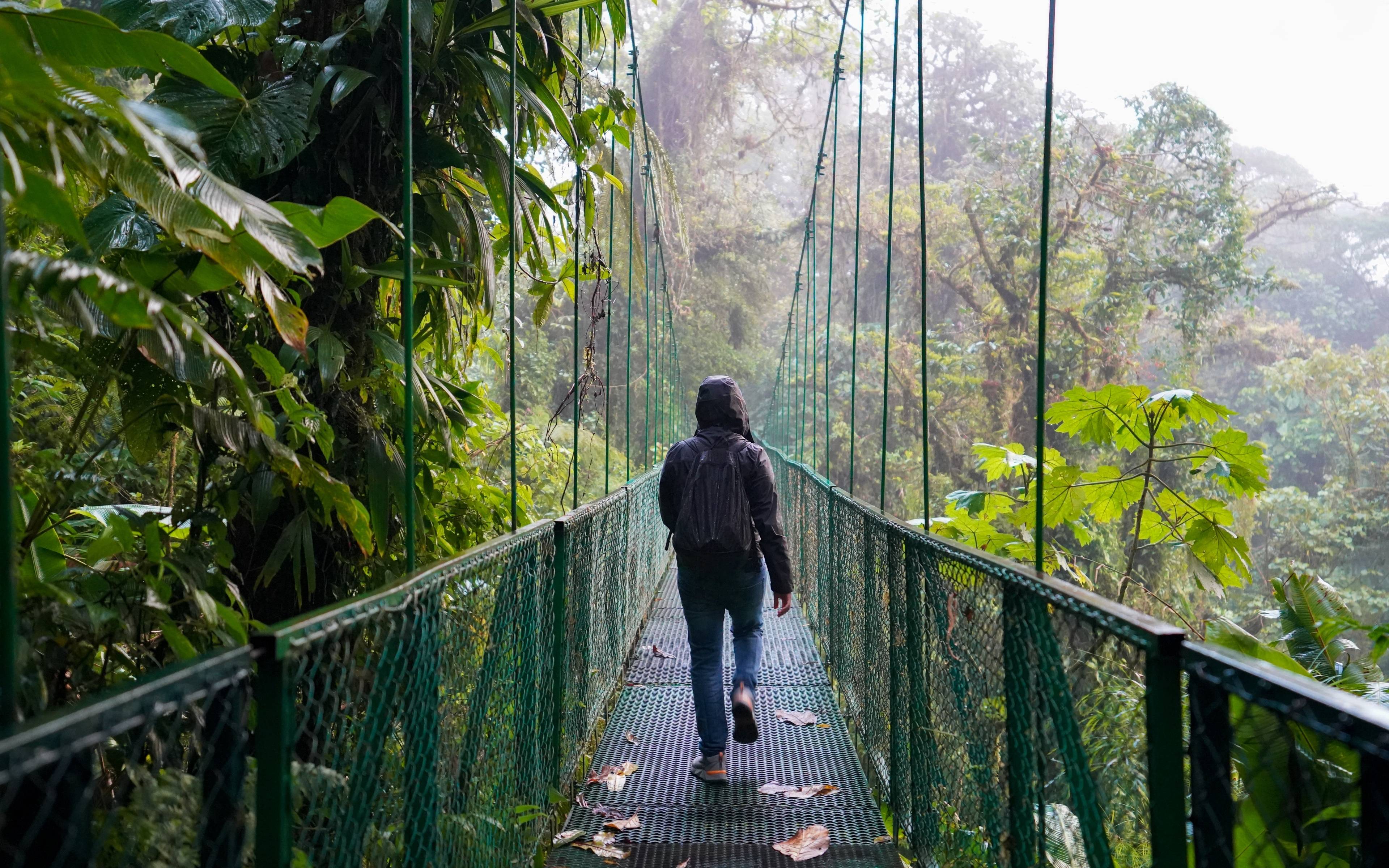 Ponts suspendus et tyrolienne dans la forêt tropicale