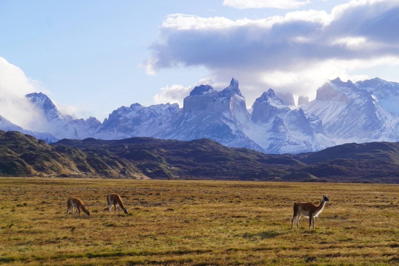 La randonnée la plus mythique de Patagonie: le trek W