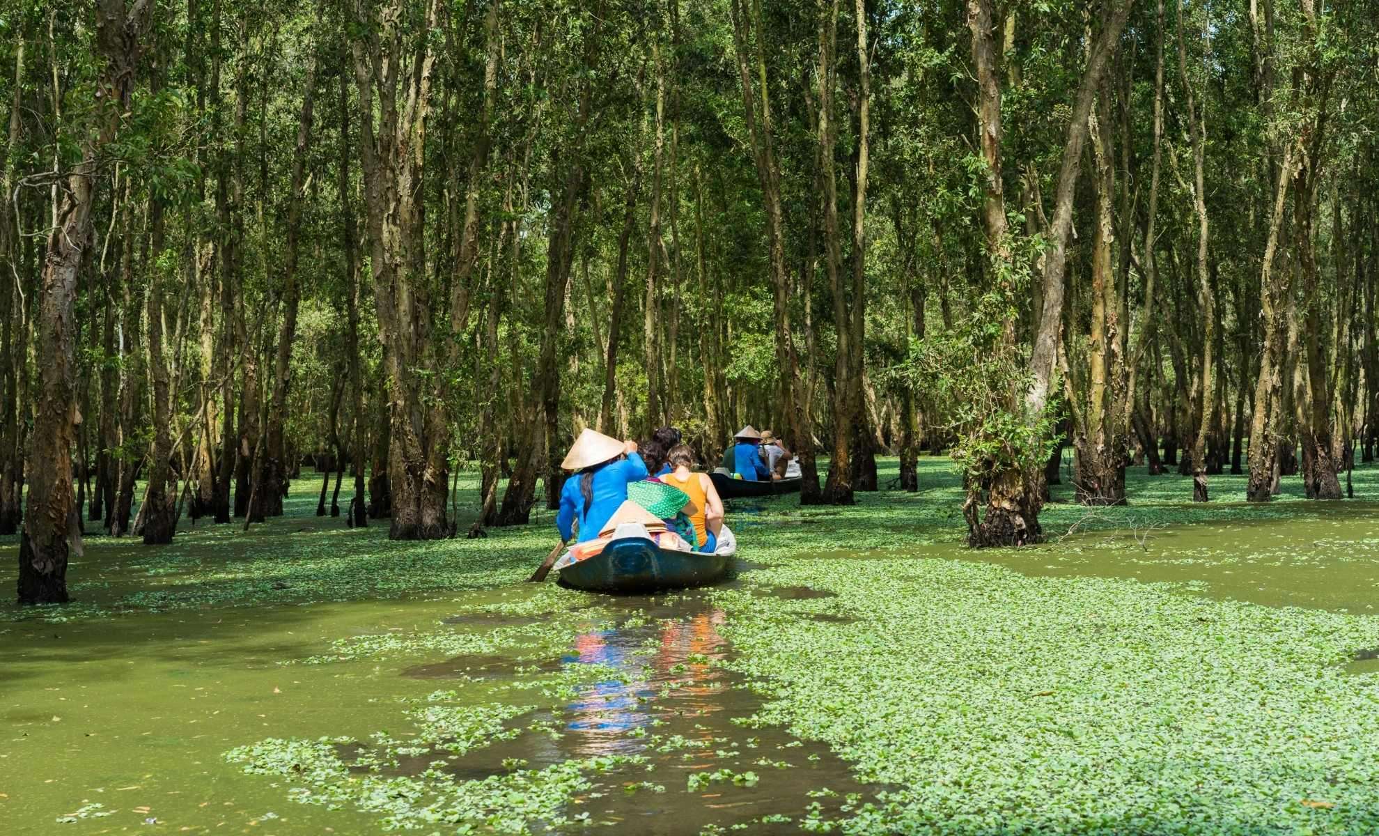 Visite de la forêt inondée de Tra Su en Sampan