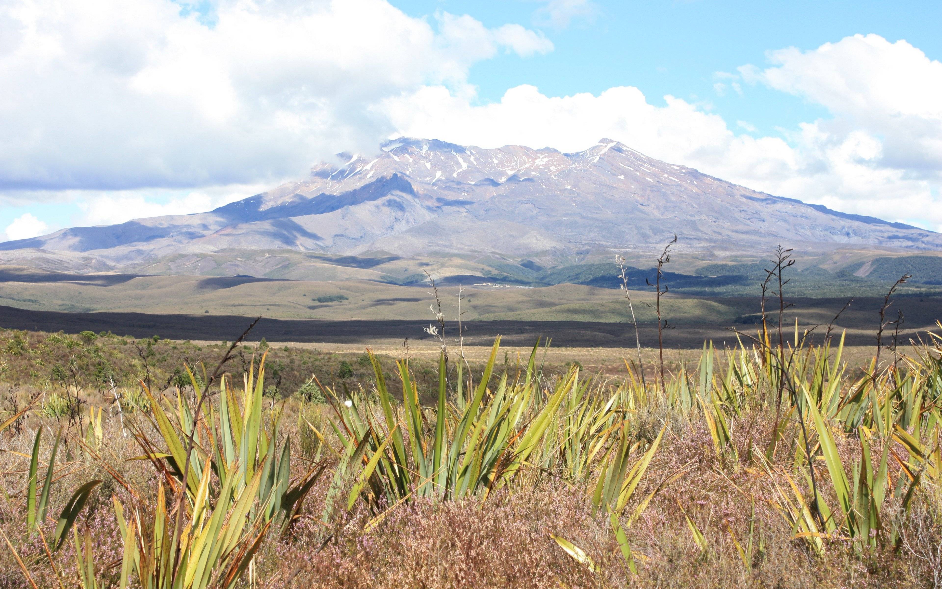 ​Entlang der Kapiti Coast zum Tongariro Nationalpark
