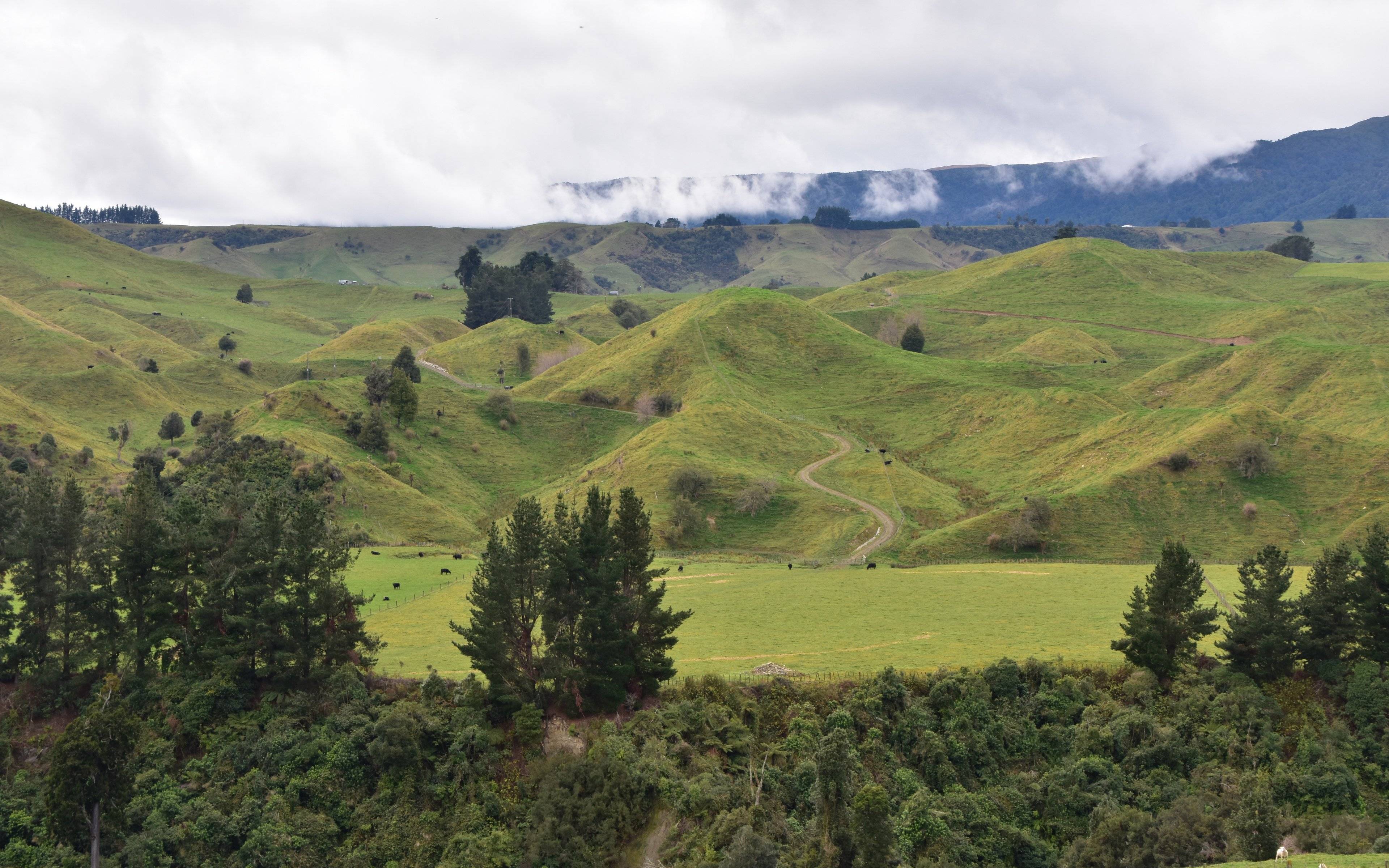 Die authentische Manawatu-Landschaft