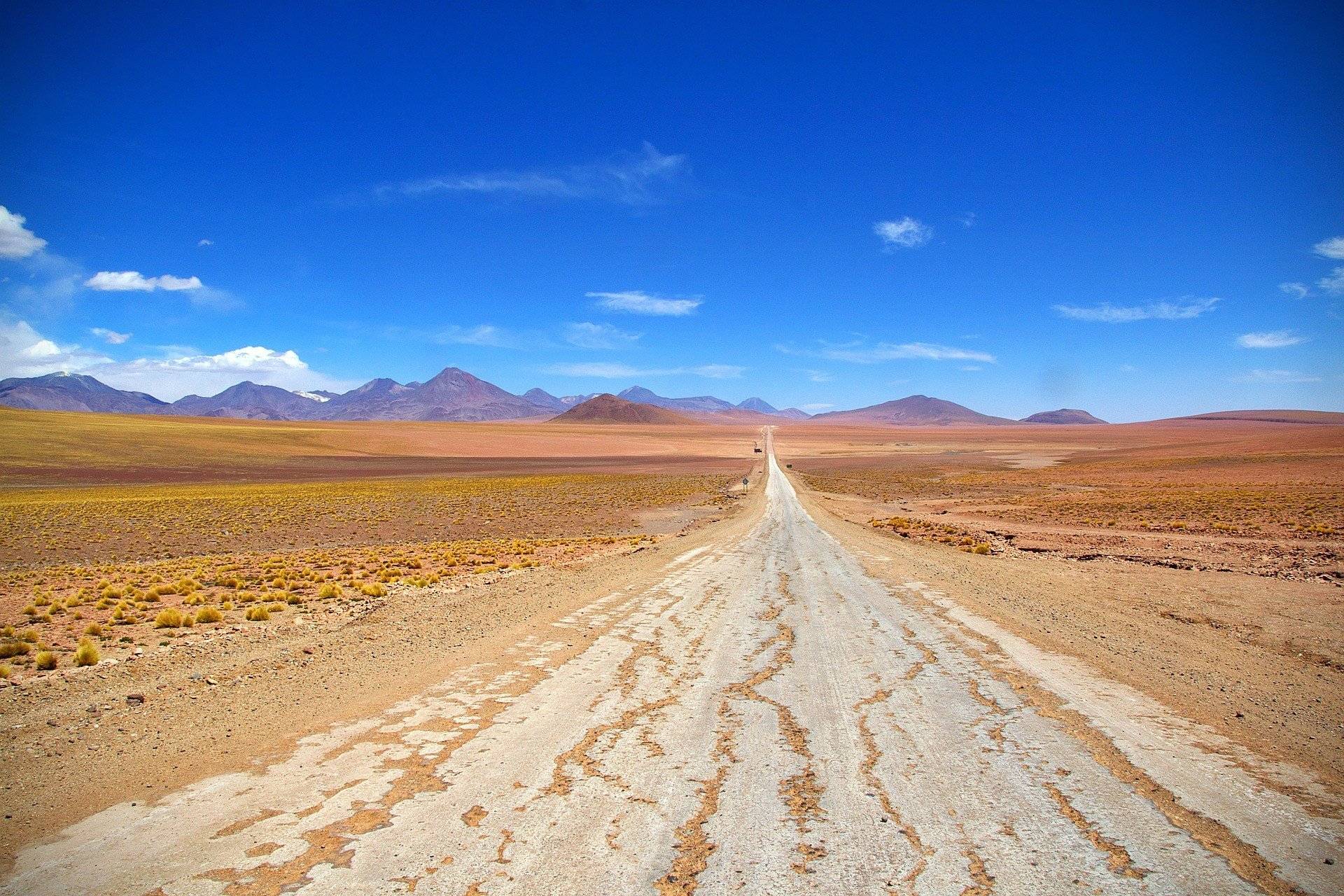 Immersion au cœur de l'Altiplano, sur la route des salars