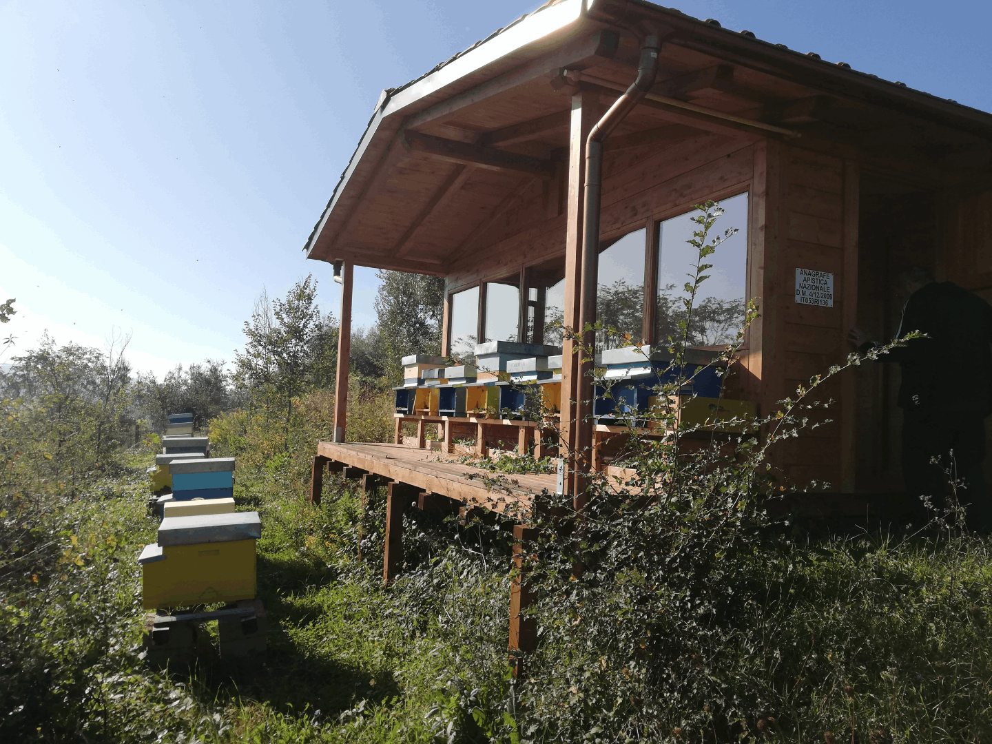 Rencontre avec un apiculteur local et dégustation de miel