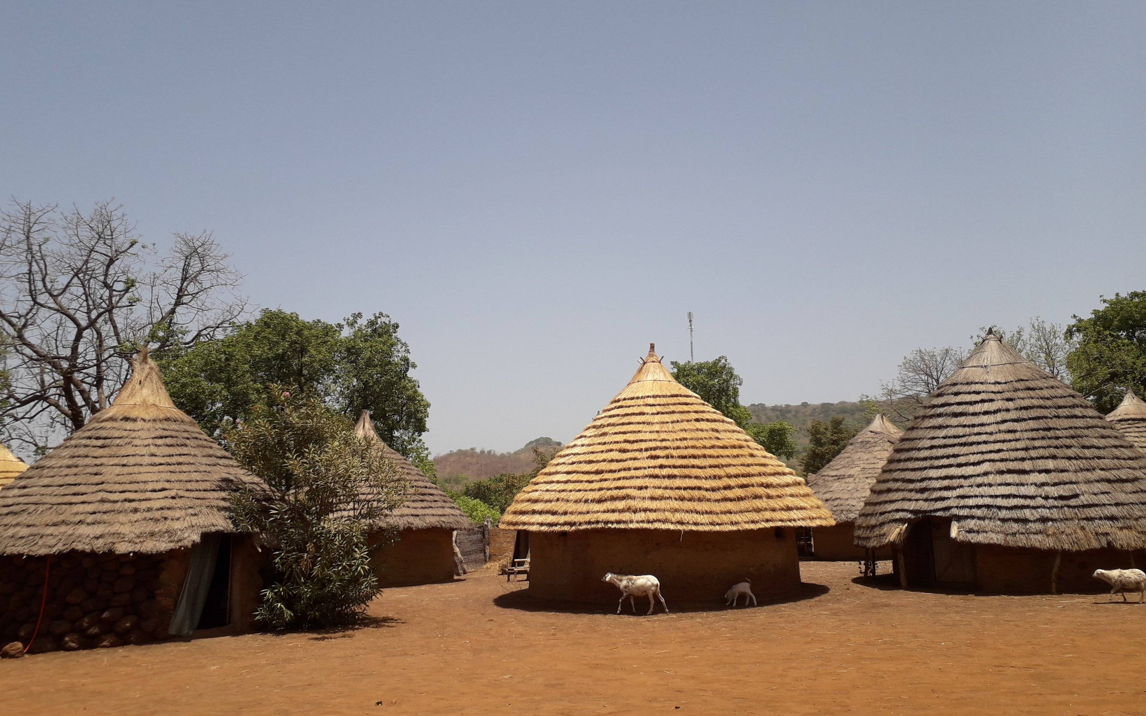Kedougou y el pueblo Bedik