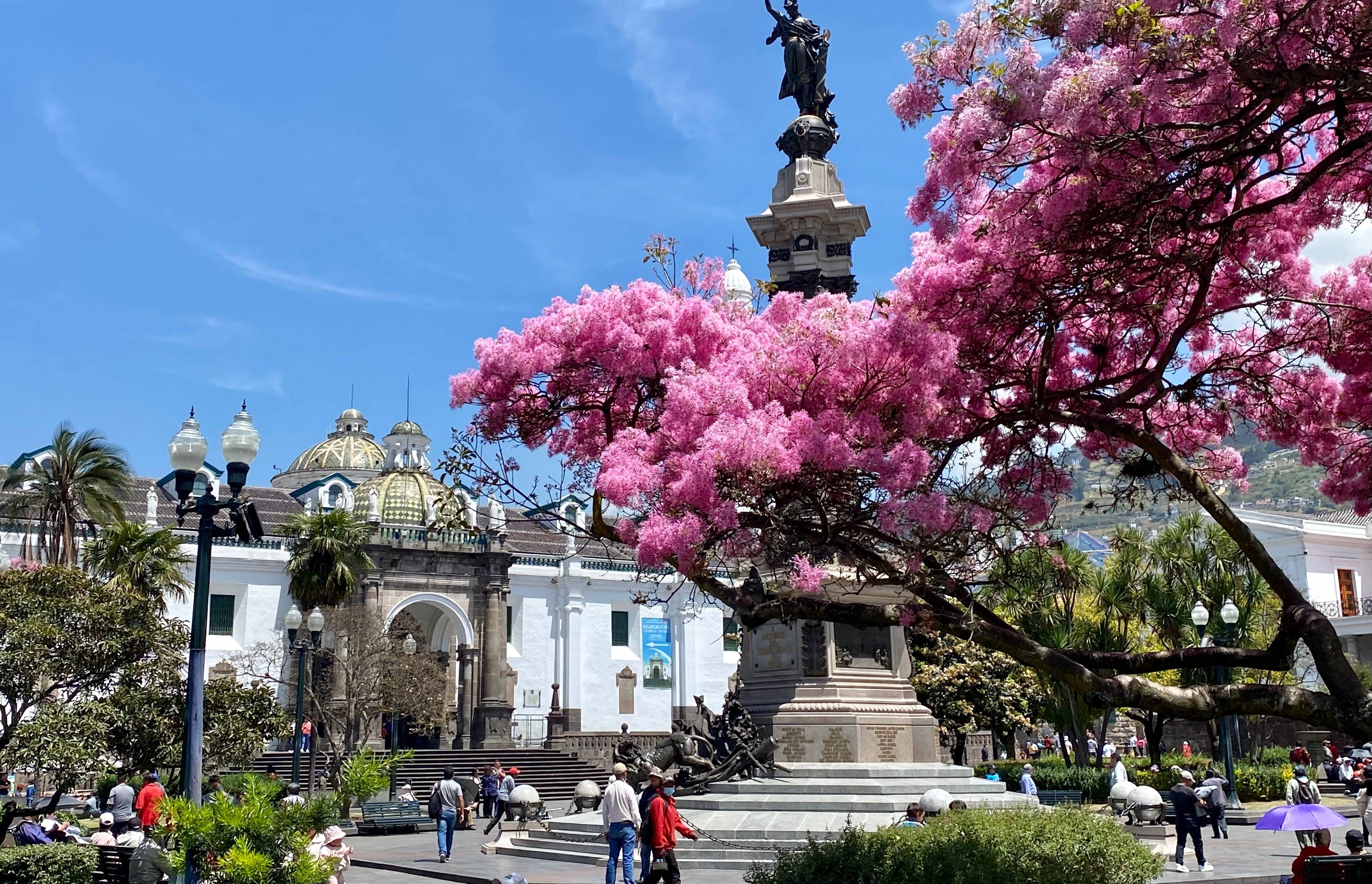 Quito, petit bijou des Andes