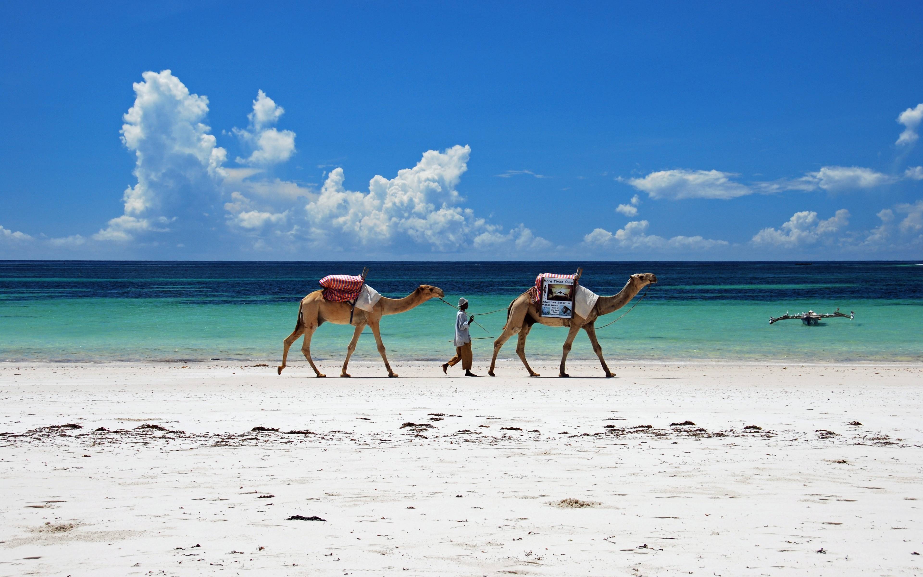 Détente sur les plages de Mombasa