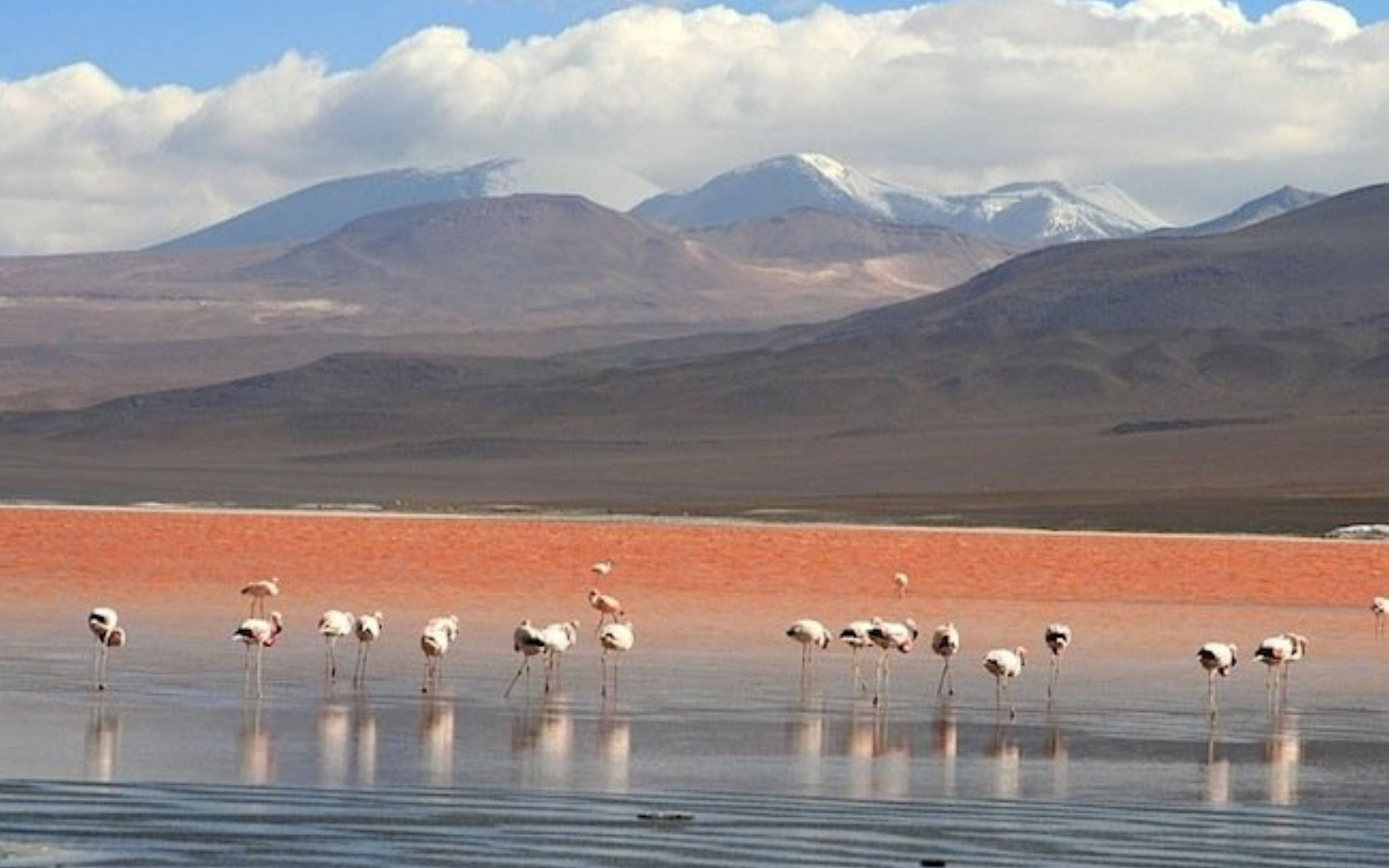 Antofagasta de la Sierra e i laghi d'alta quota
