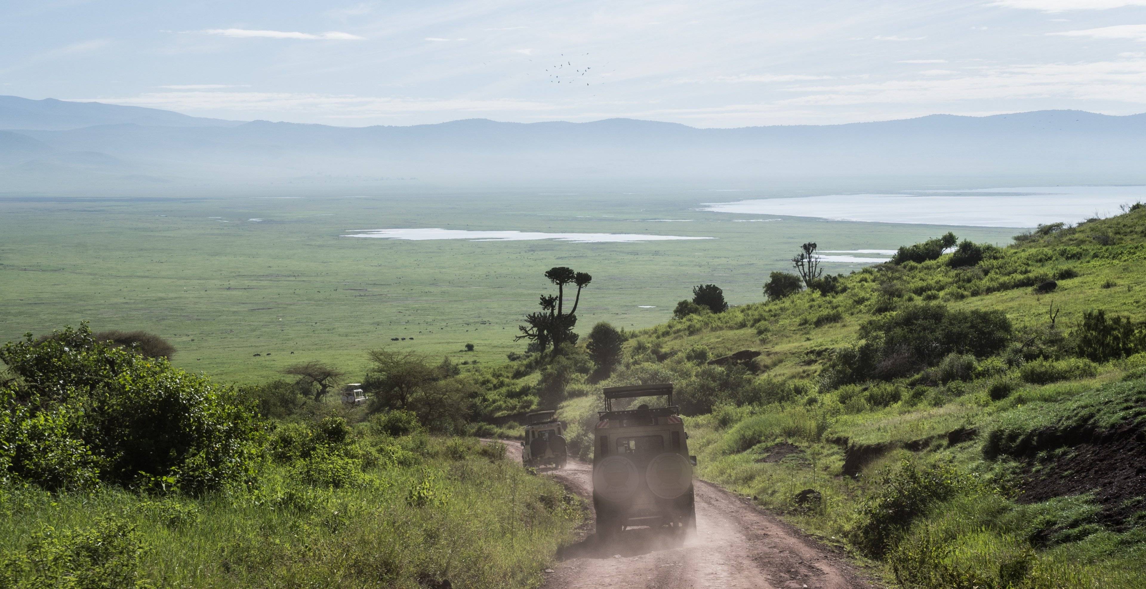Les trésors naturels du cratère Ngorongoro