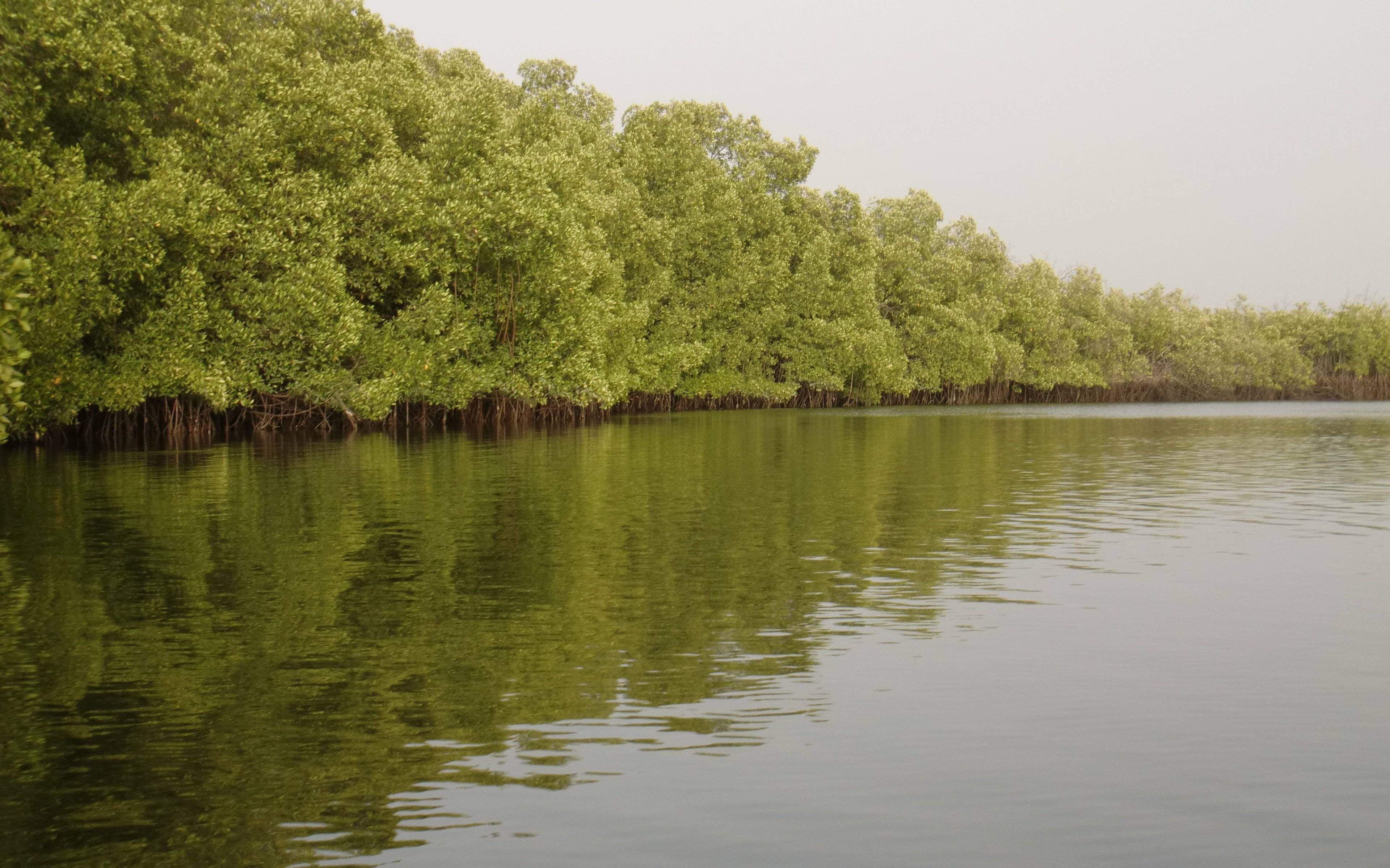 Los magníficos paisajes del delta del Saloum y la reserva de Fathala