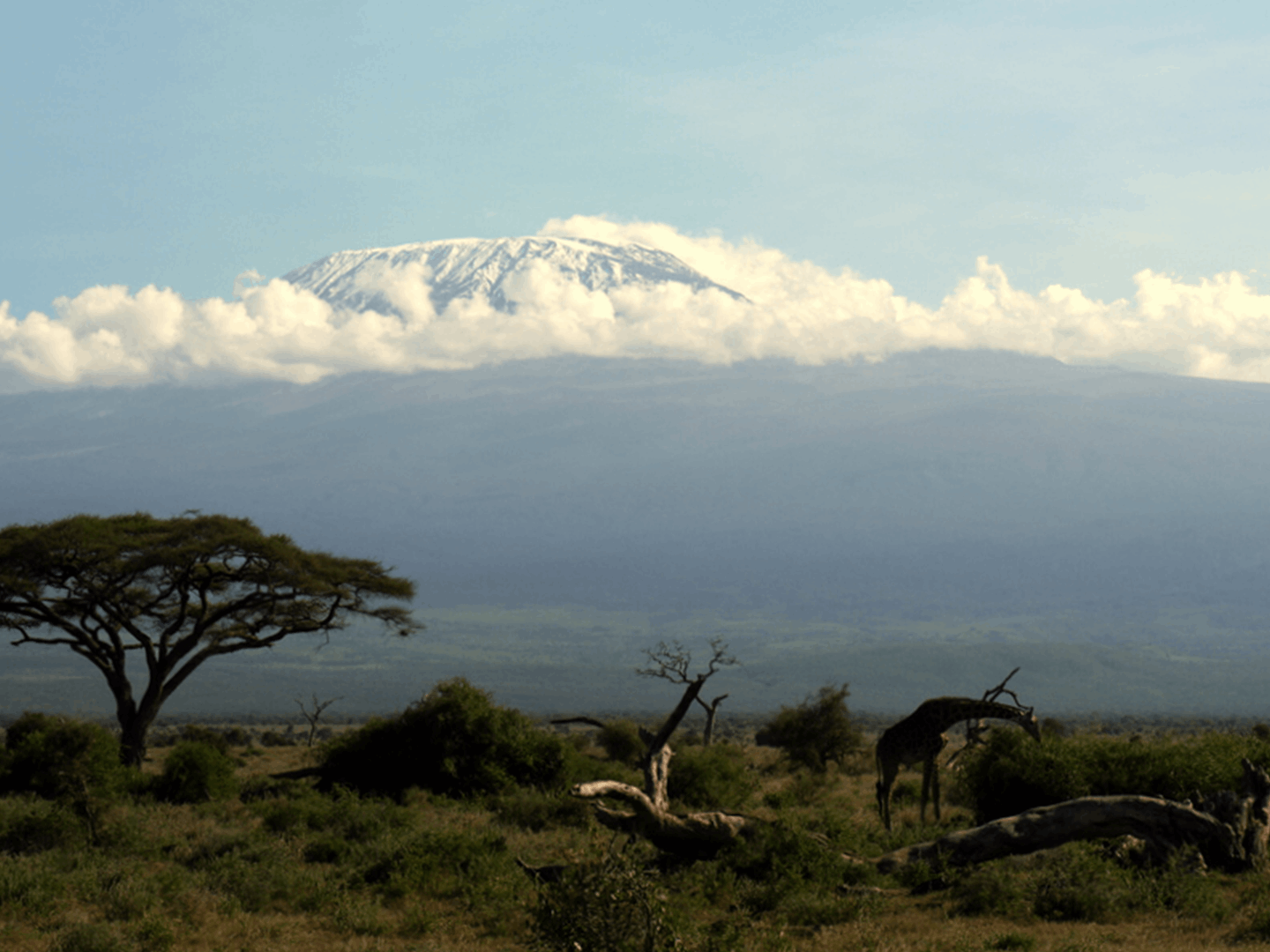 Journée de découverte du Parc d'Amboseli
