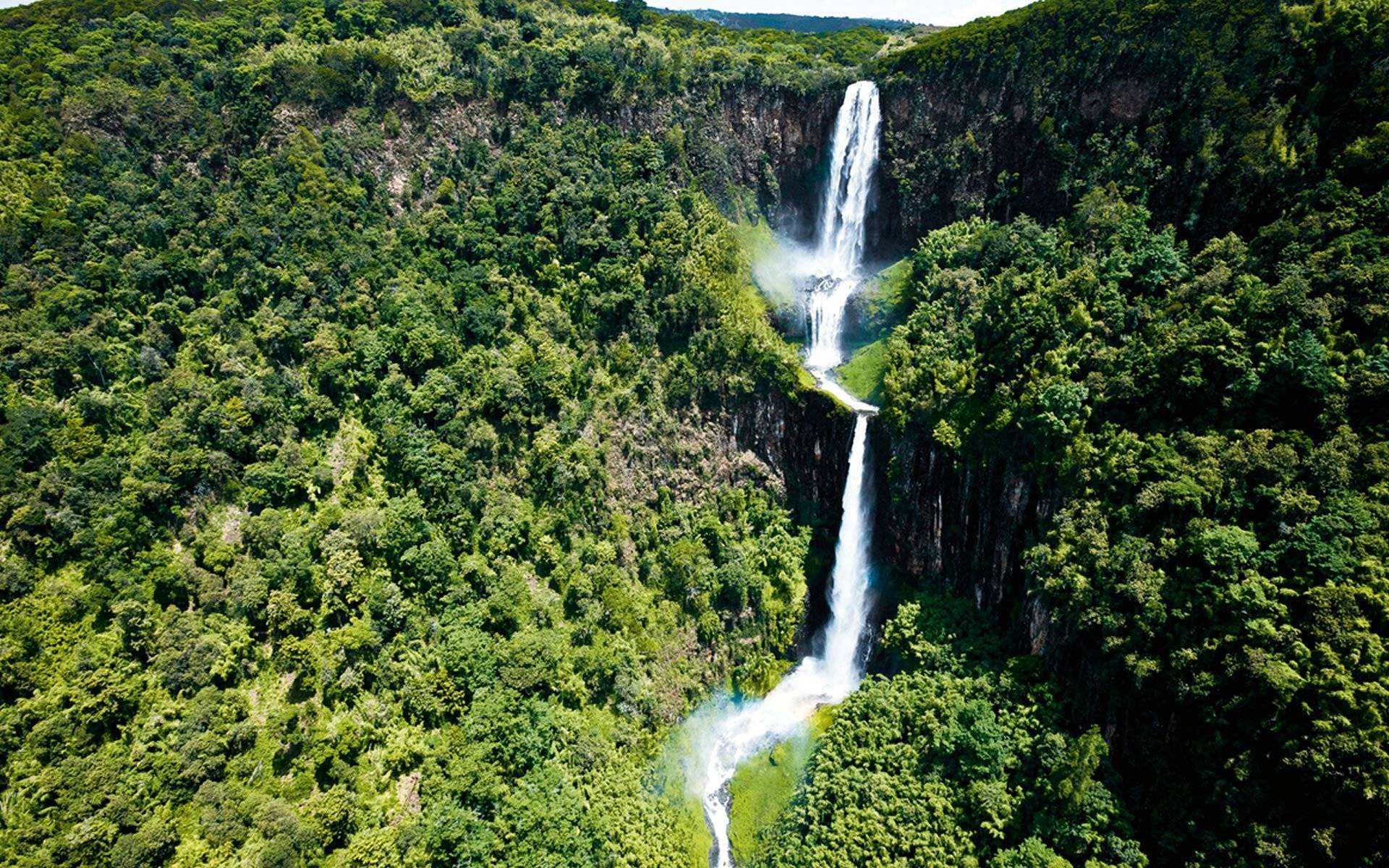 Conoce las majestuosas cascadas y diversa fauna del bosque en Aberdare