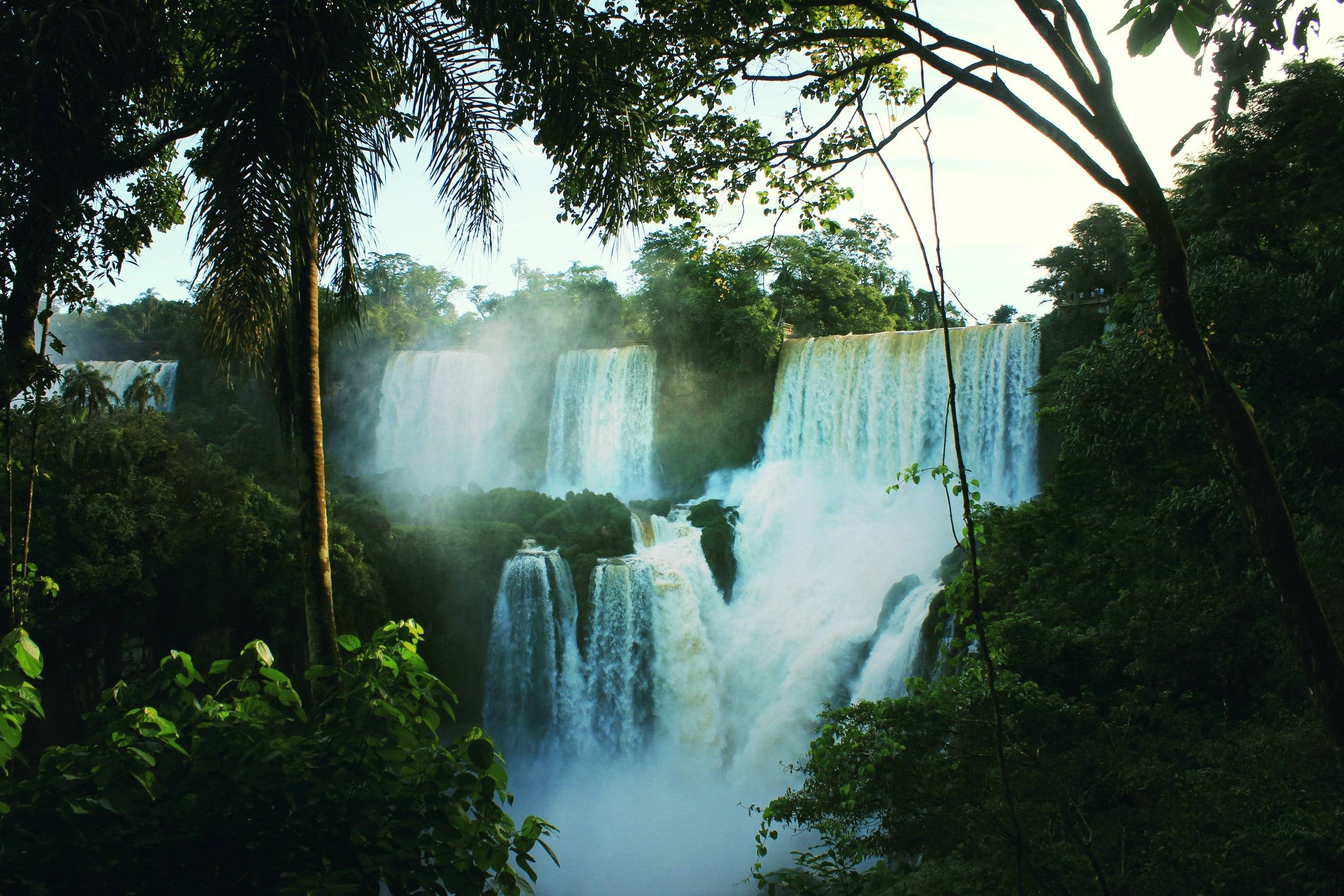 Meraviglie della Giungla: Cascate dell'Iguazú e Tradizione della Yerba Mate