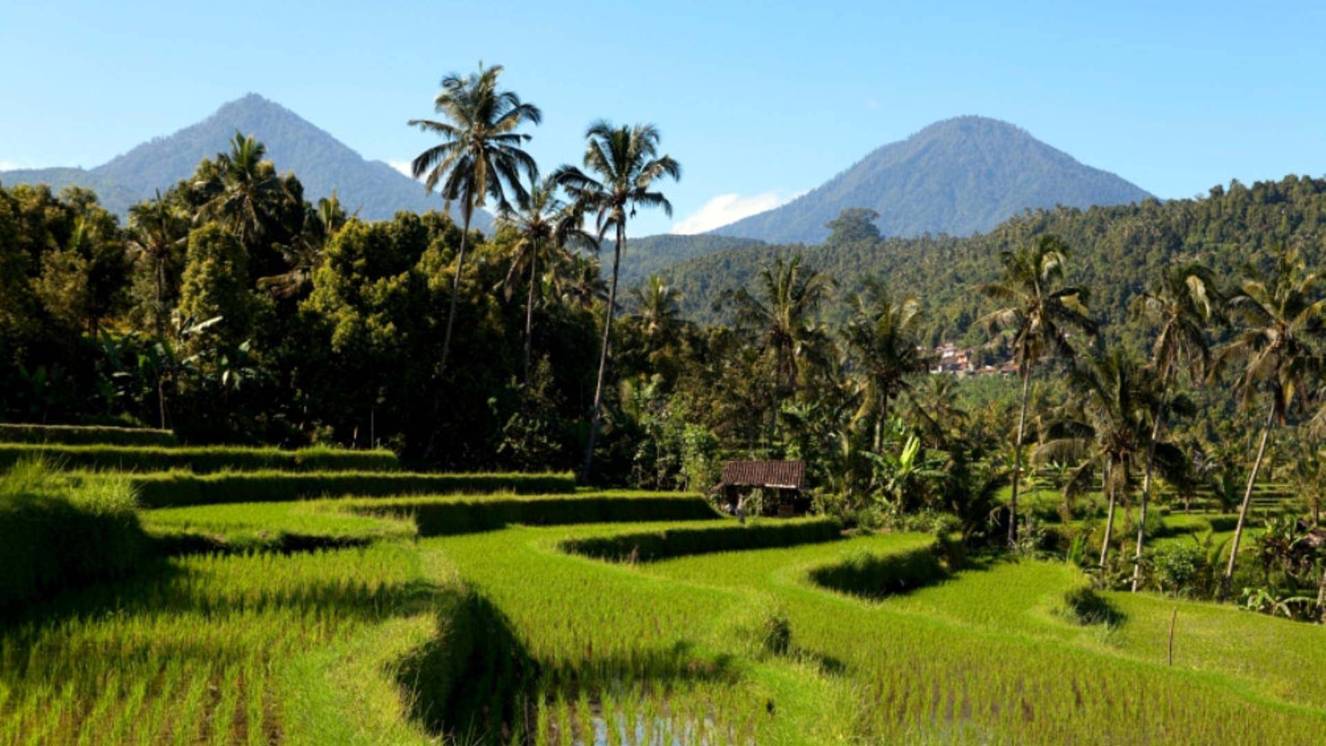 Auf dem Weg nach Munduk, einem ruhigen Dorf in den Bergen Balis