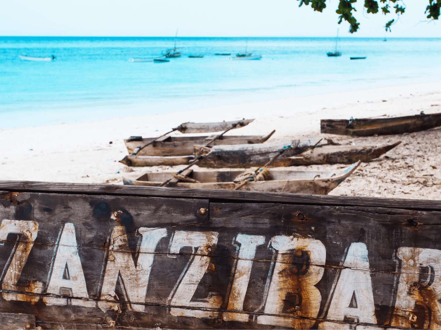 Kwaheri Tanzania - Si vola a Zanzibar, arrivederci al prossimo Safari!