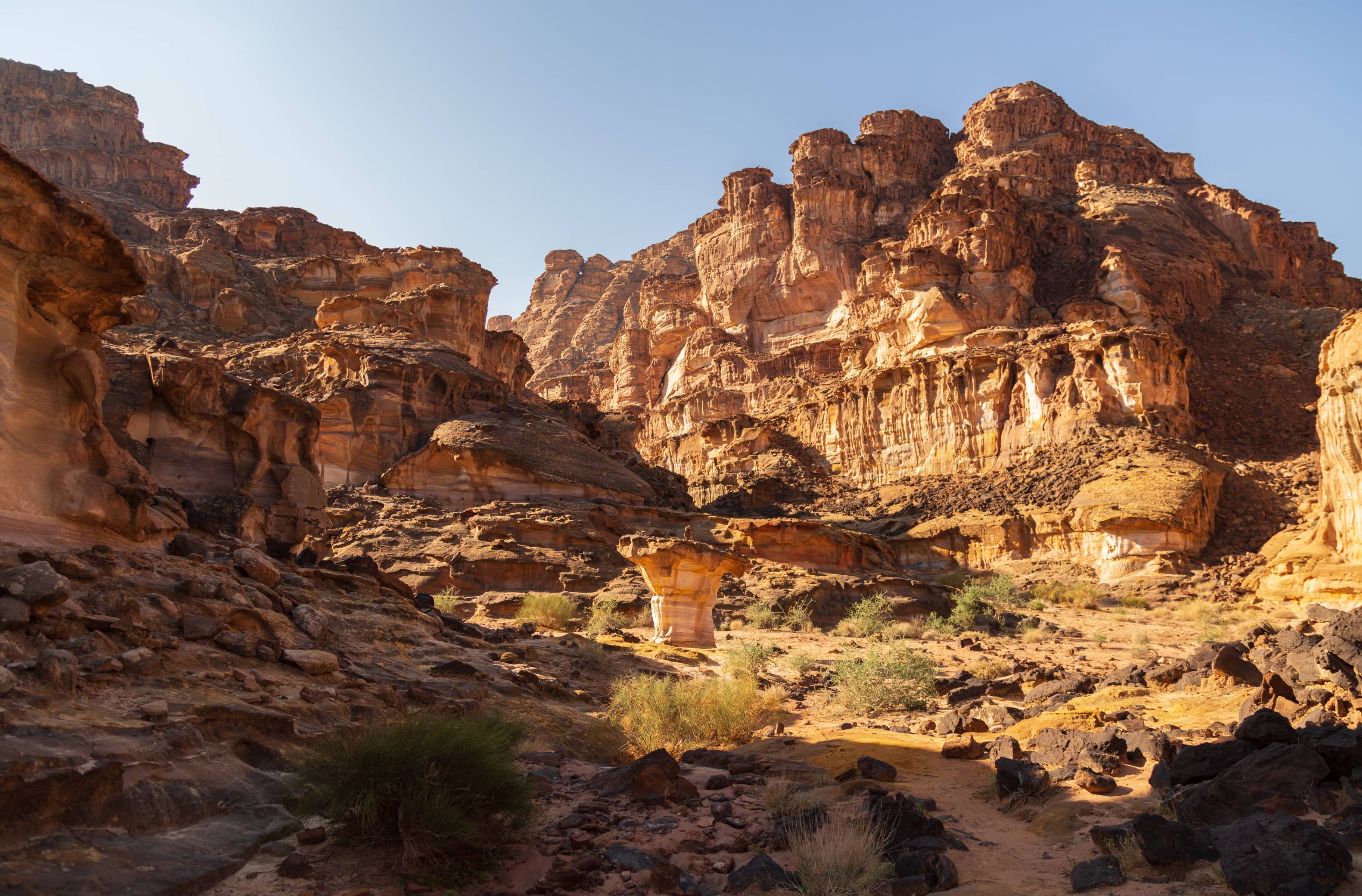 Petra - Wandeling van Petra naar Gaa`Mriebed - 24 km