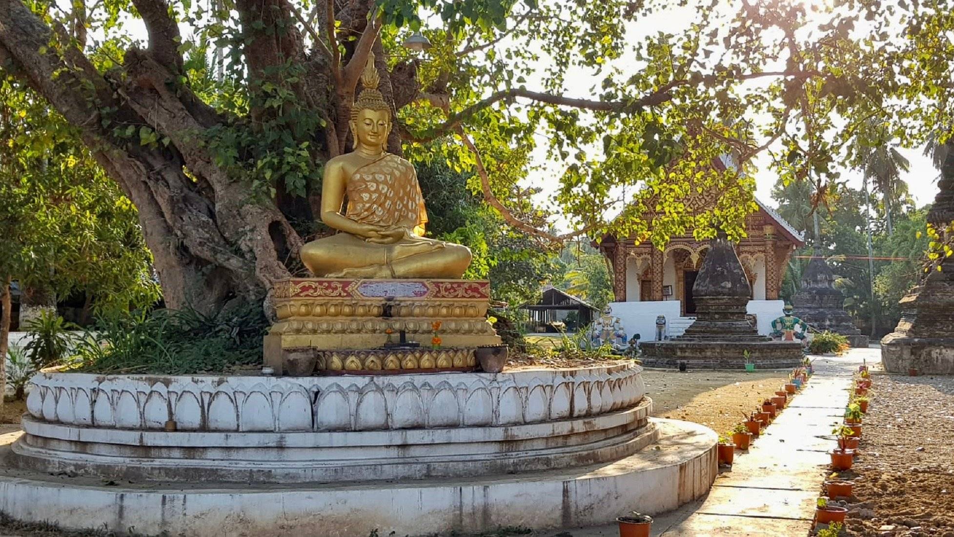 Visite culturelle de Luang Prabang, de ses marchés et de ses temples