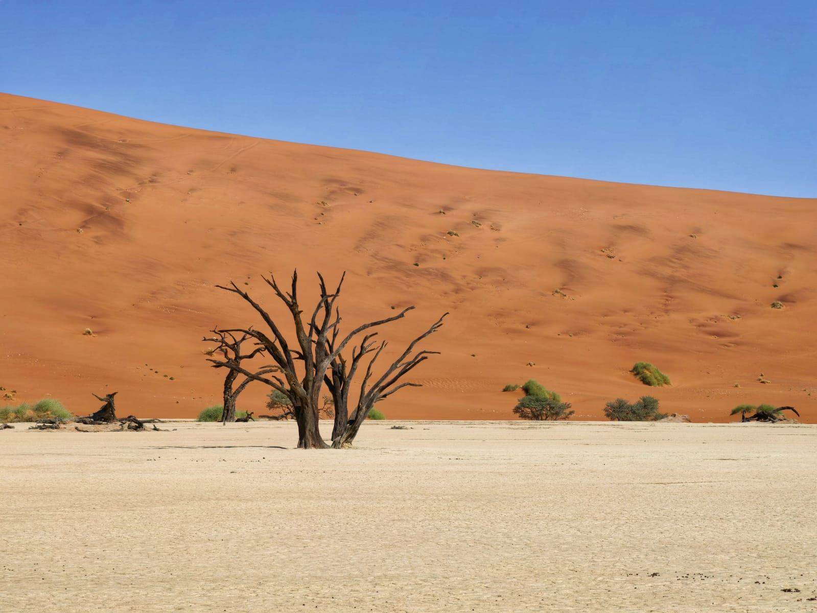Le désert du Namib sous vos pieds