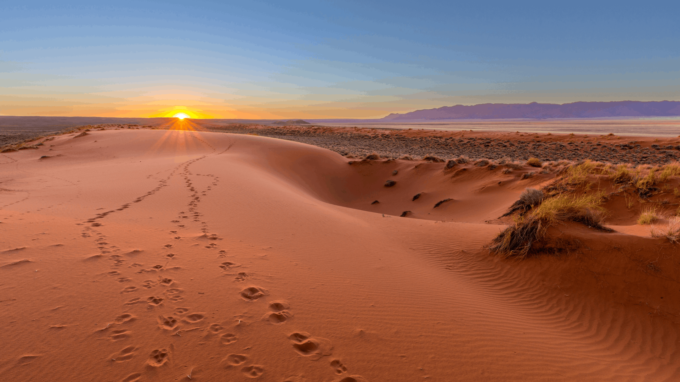 Le désert du Kalahari, une terre de contrastes