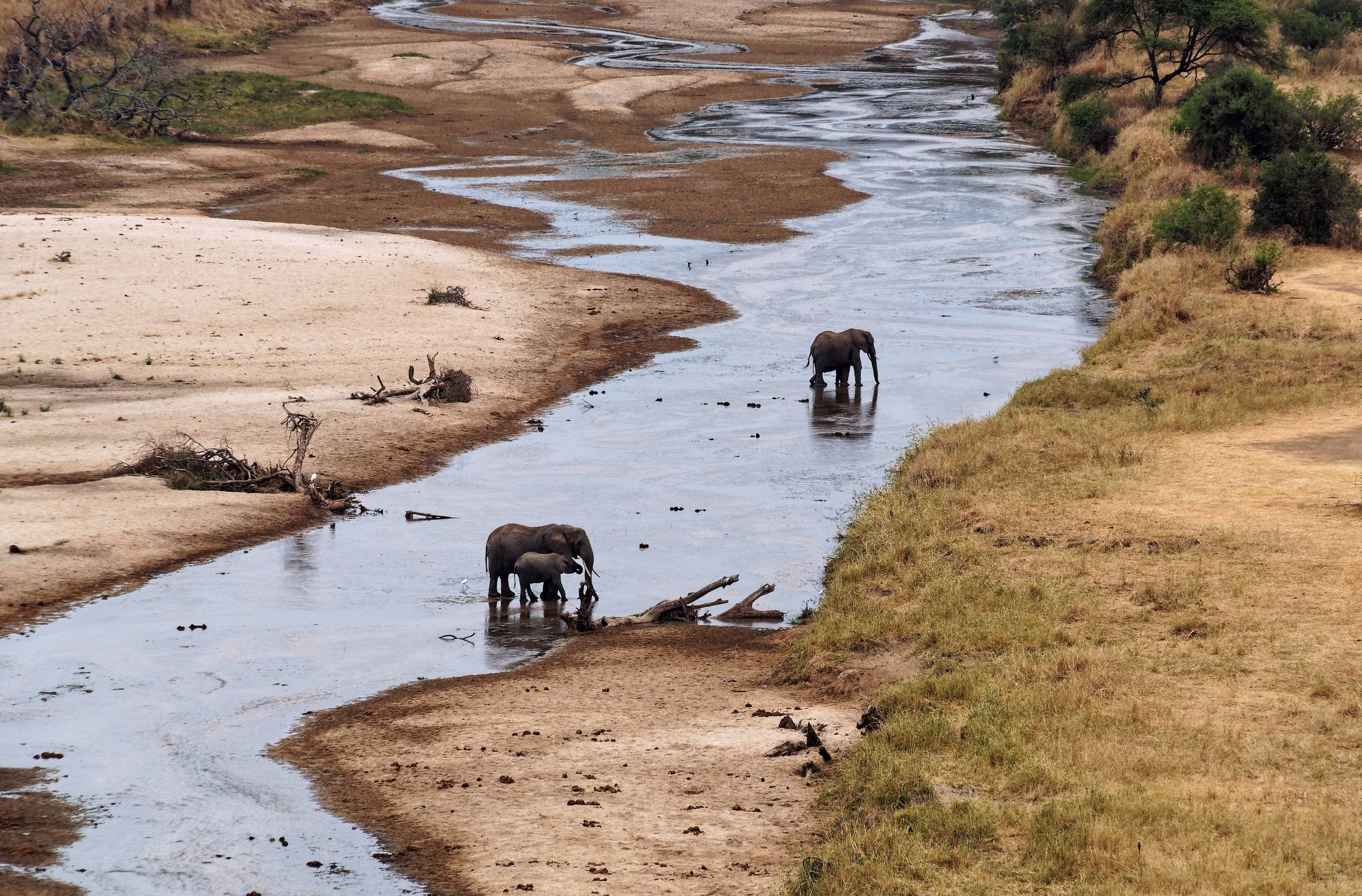 Safari nel Tarangire National Park
