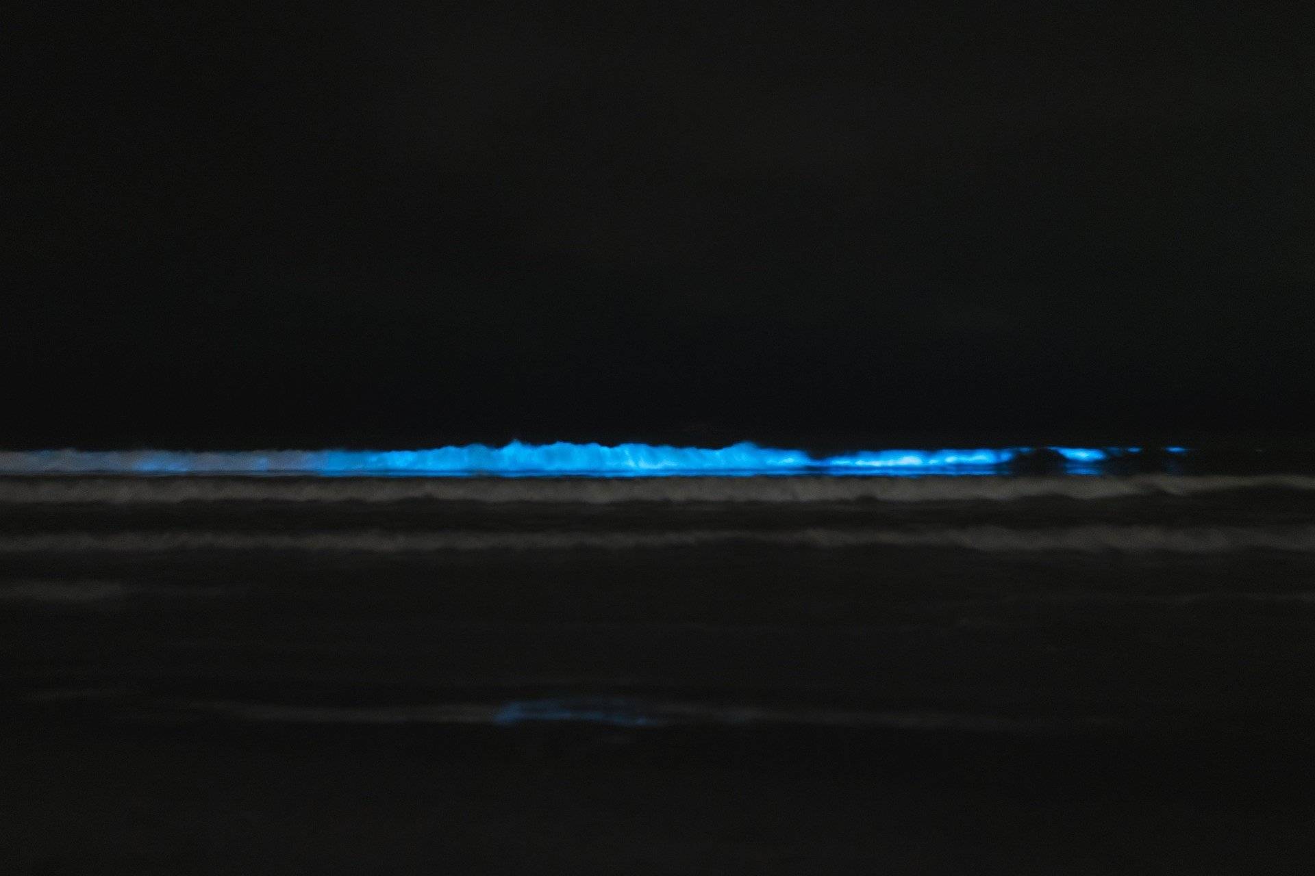 Viaje a Atins y observación del placton bioluminiscente