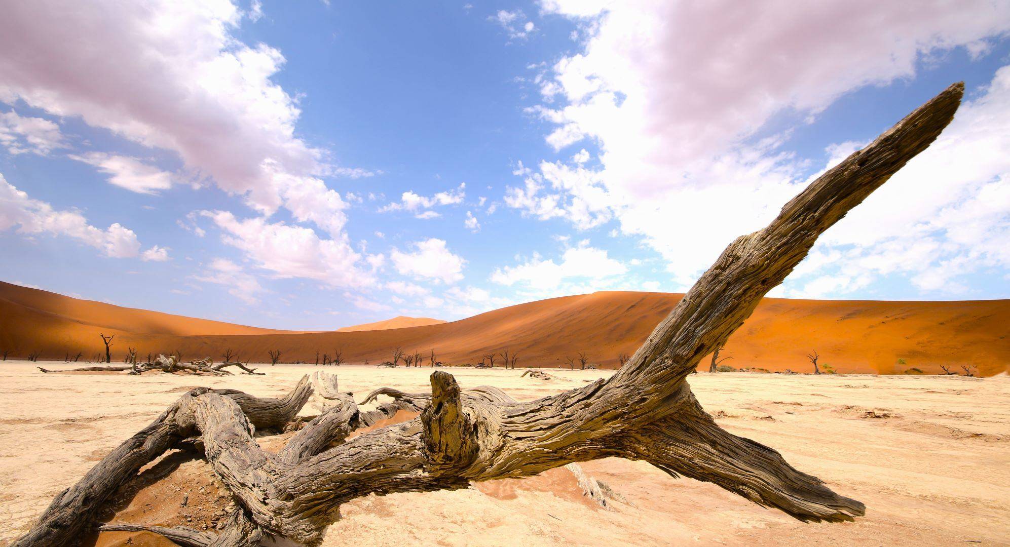 Désert du Namib et Sossusvlei