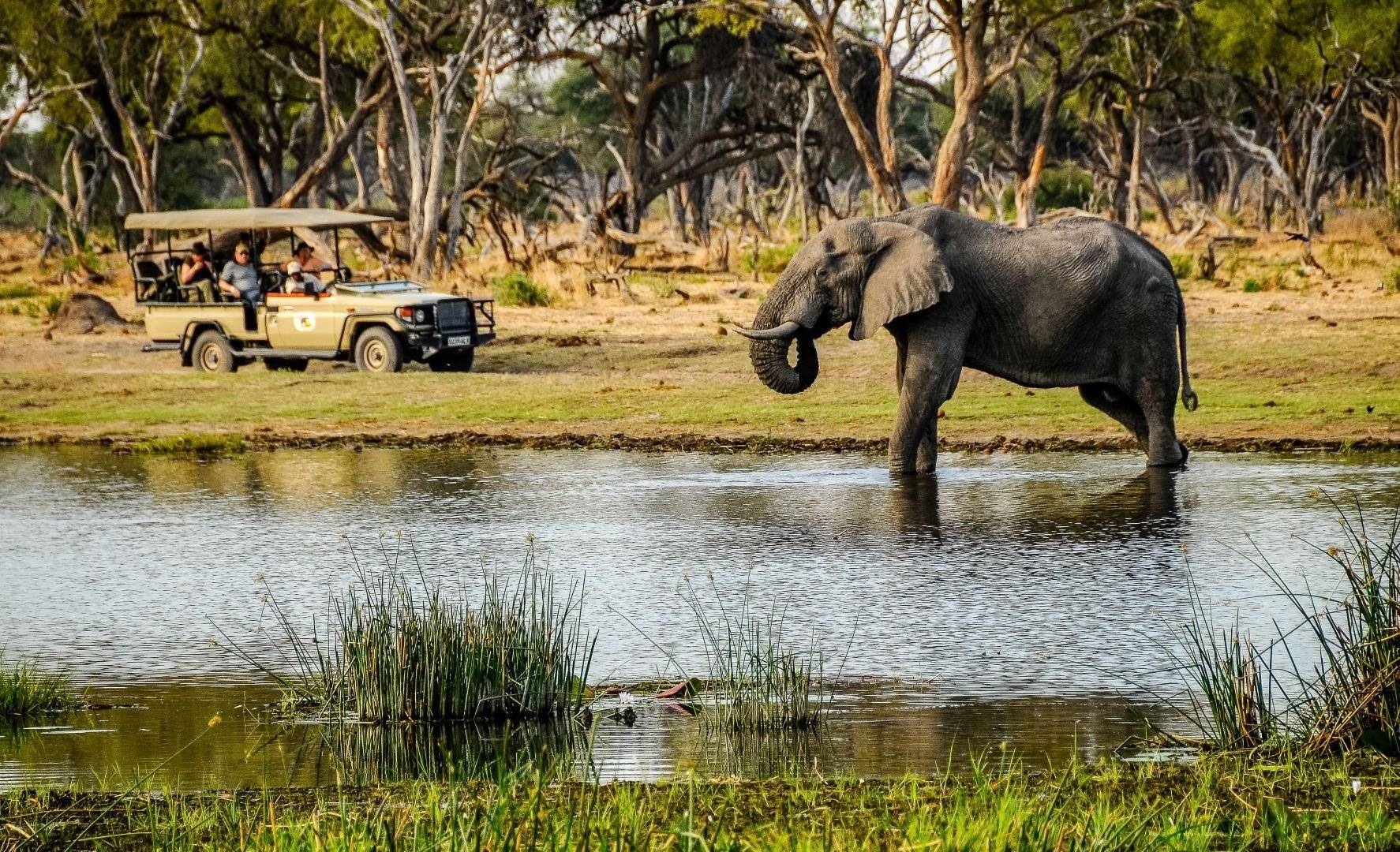 Le long de la Rivière Okavango