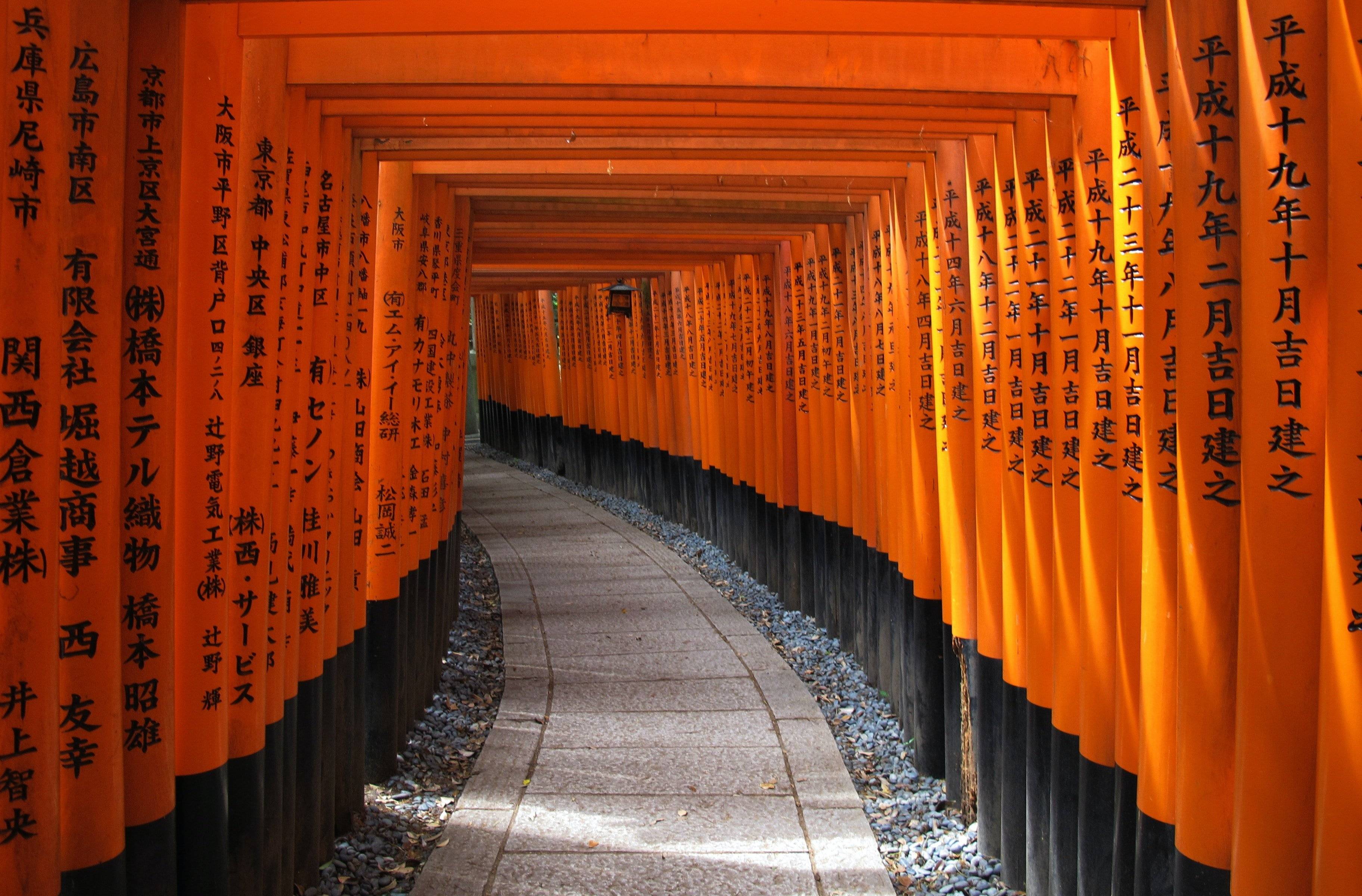 Attraverso i mille torii rossi del Fushimi Inari Taisha fino alla vivace Osaka
