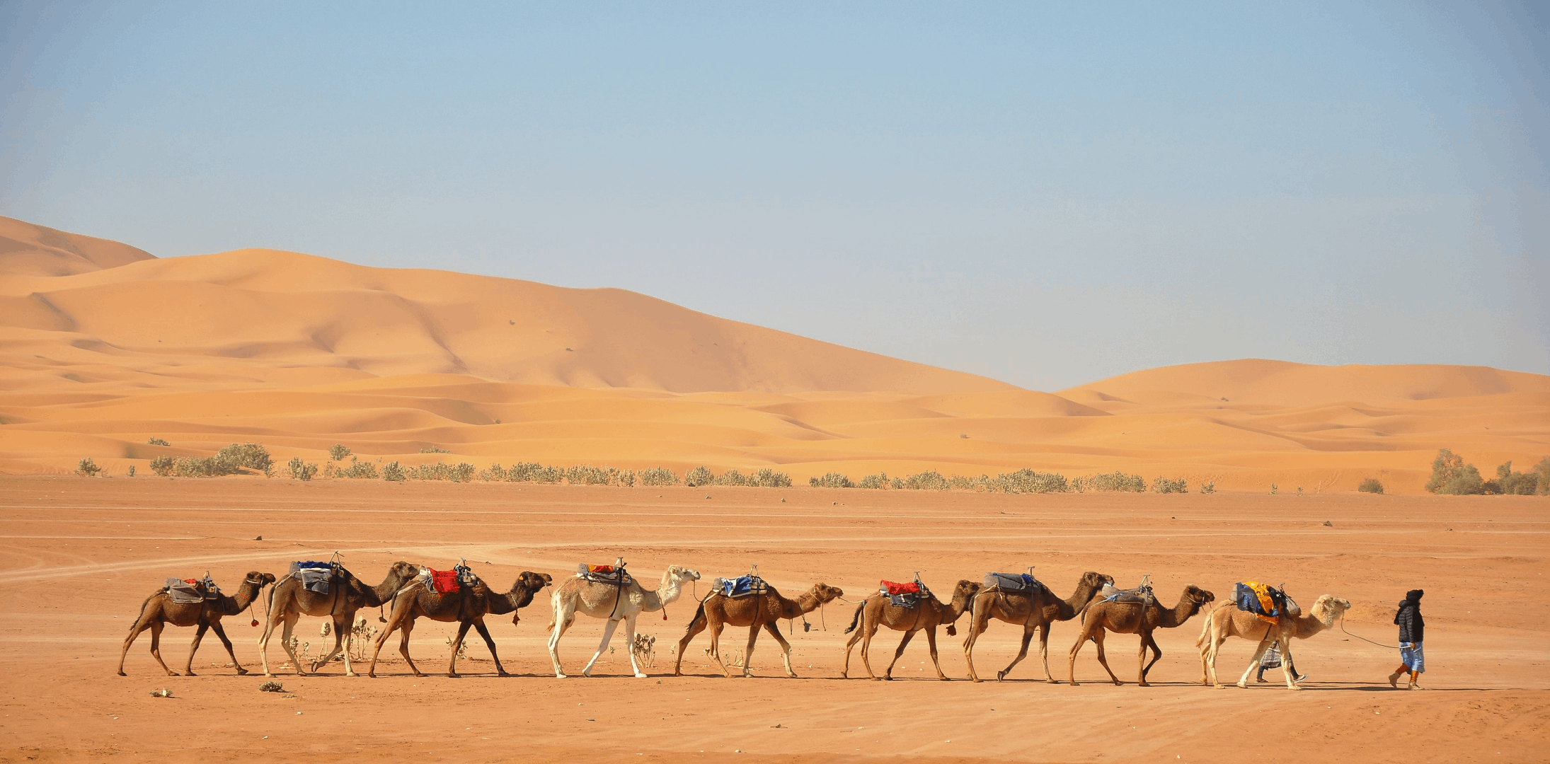 3     Fez  – Ifrane – El Valle del Ziz – Desierto del Sáhara