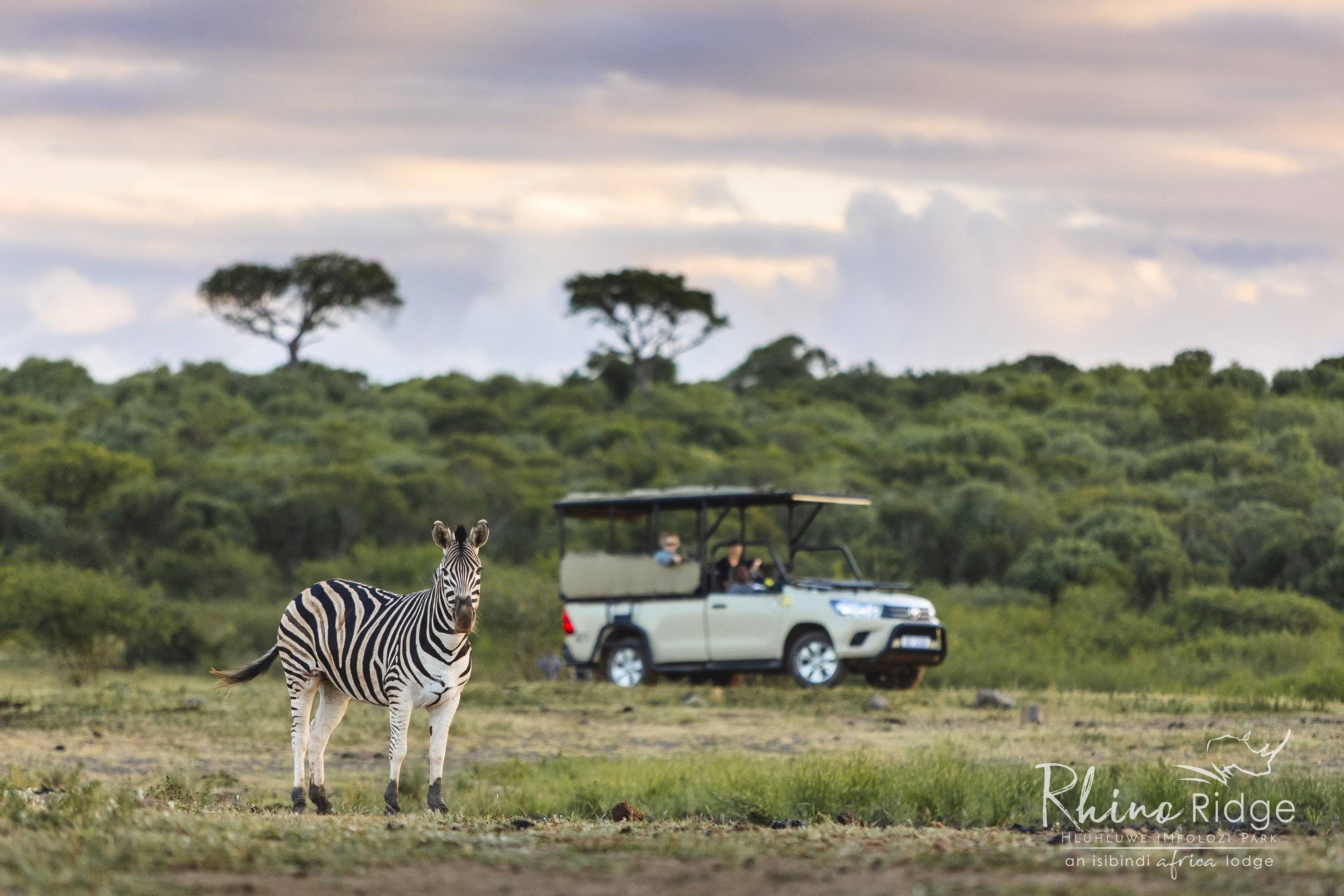 Safaris fotográficos en Isimangaliso &  Hluhluwe Imfolozi