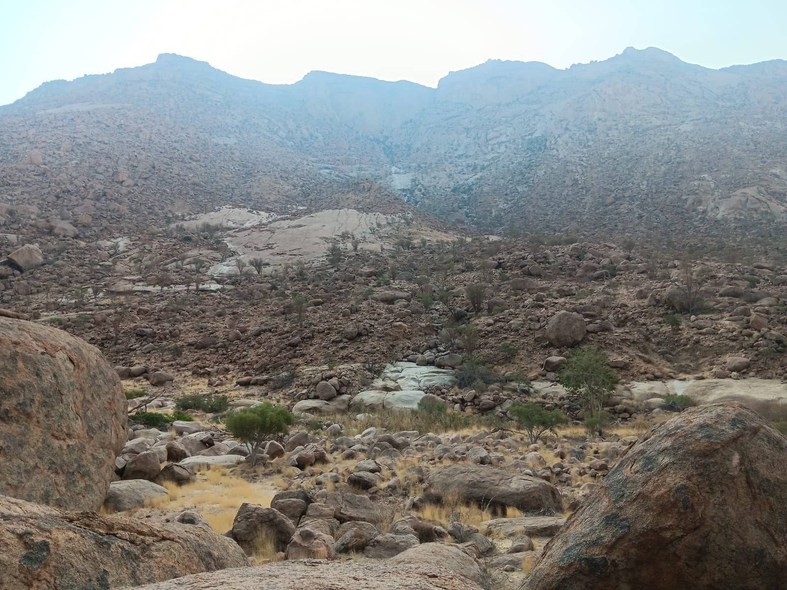 El pico más alto de Namibia y paneles de arte rupestre