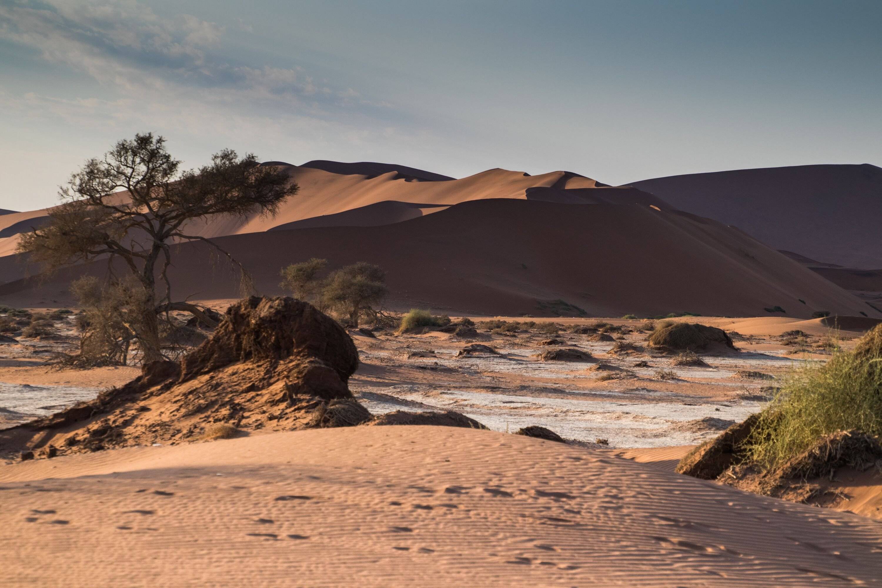 Sossusvlei en el desierto Namib Naukluft y Sperrgebiet
