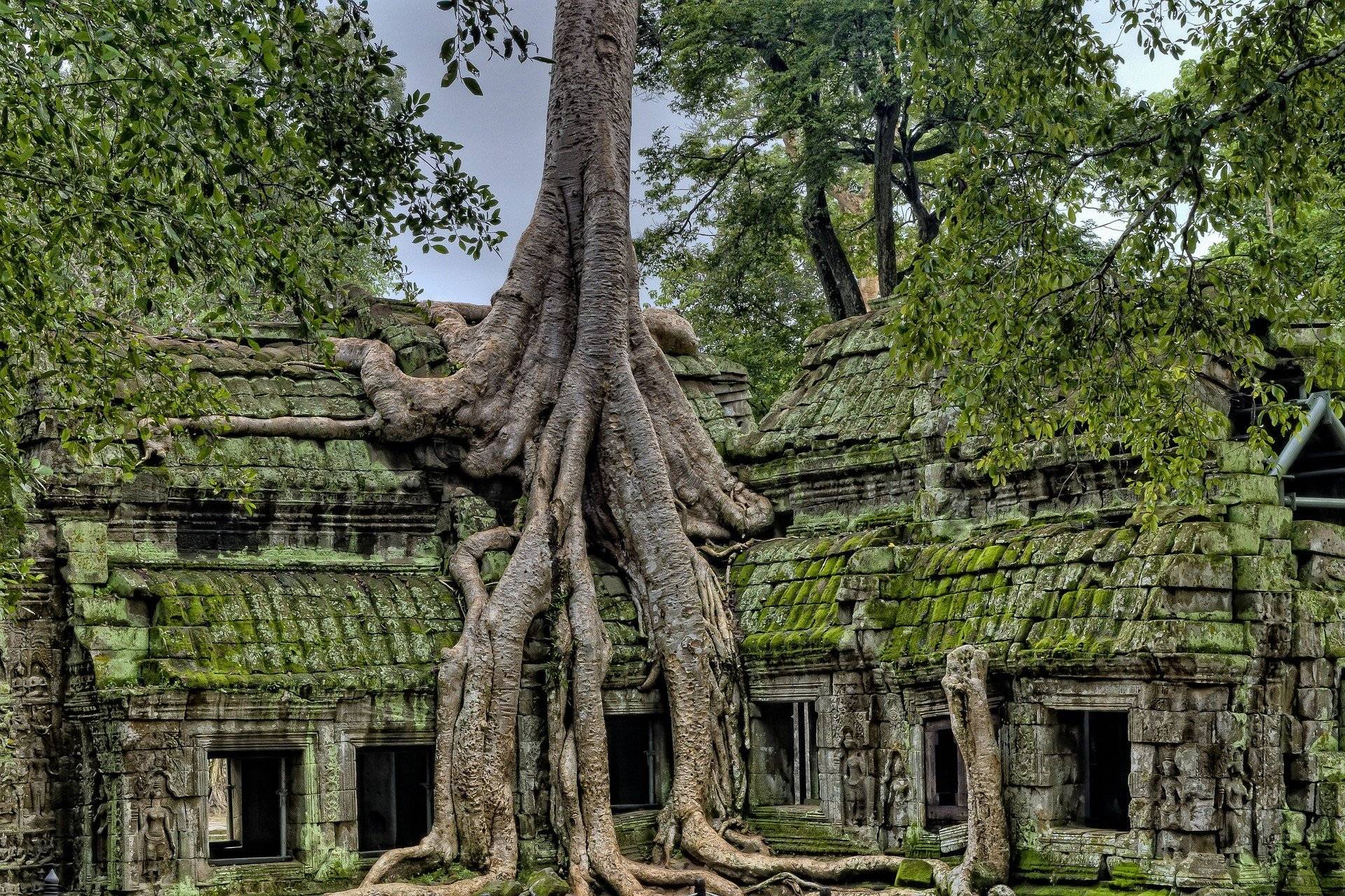 Los templos de Angkor en tuk-tuk