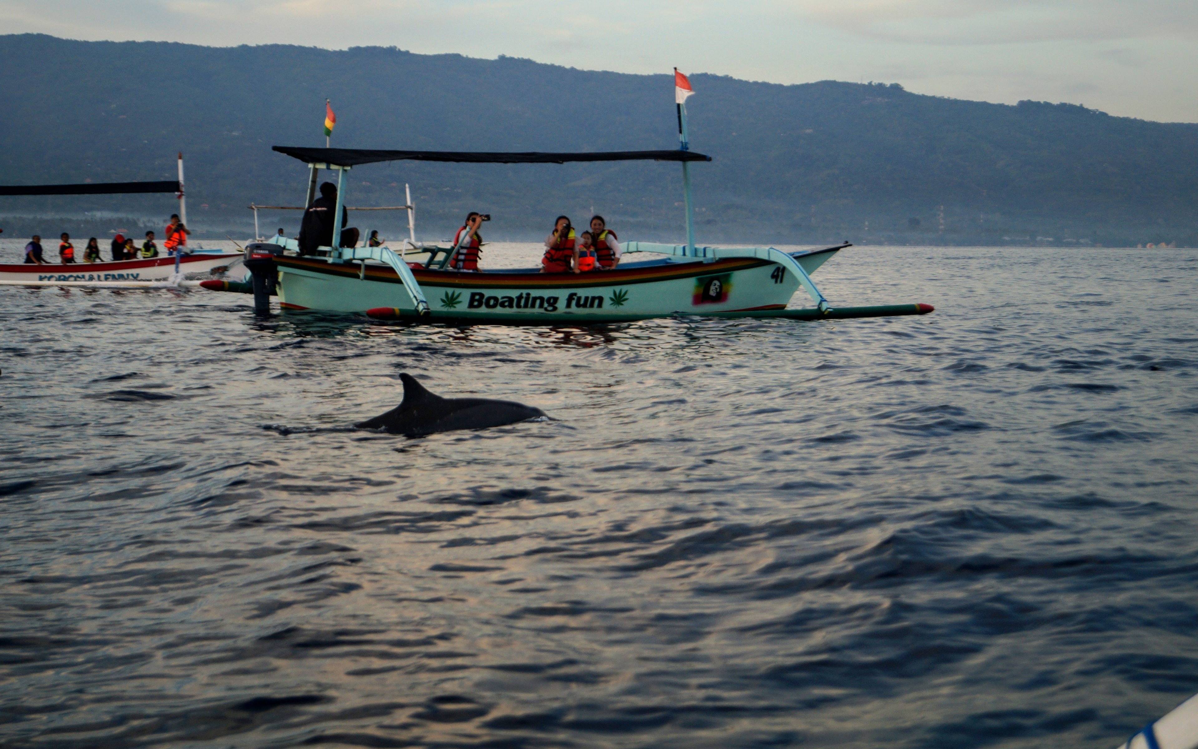 Delfin-Tour bei Sonnenaufgang und Entdeckungstour