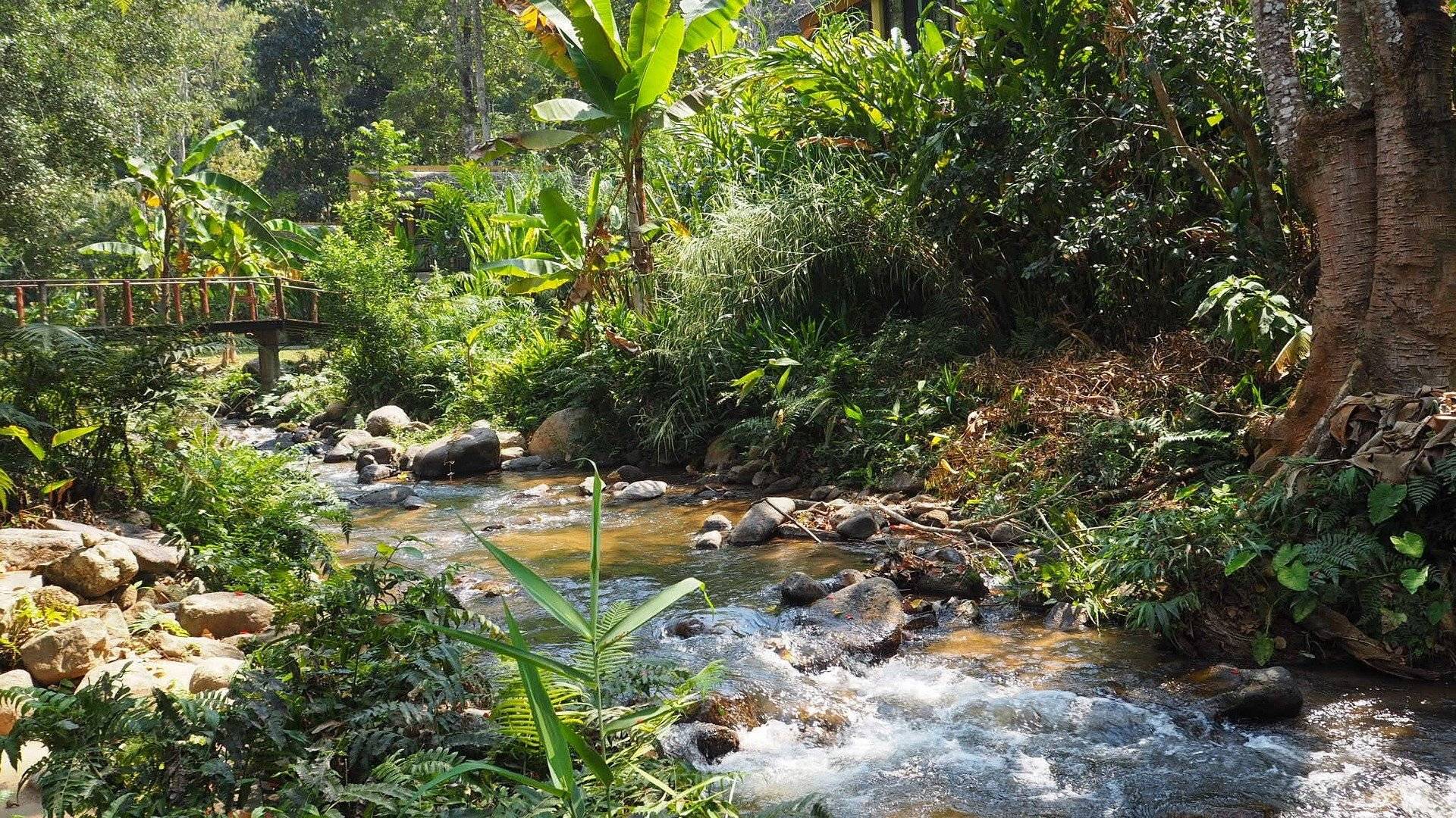 Eco esperienza a Mae Kampong