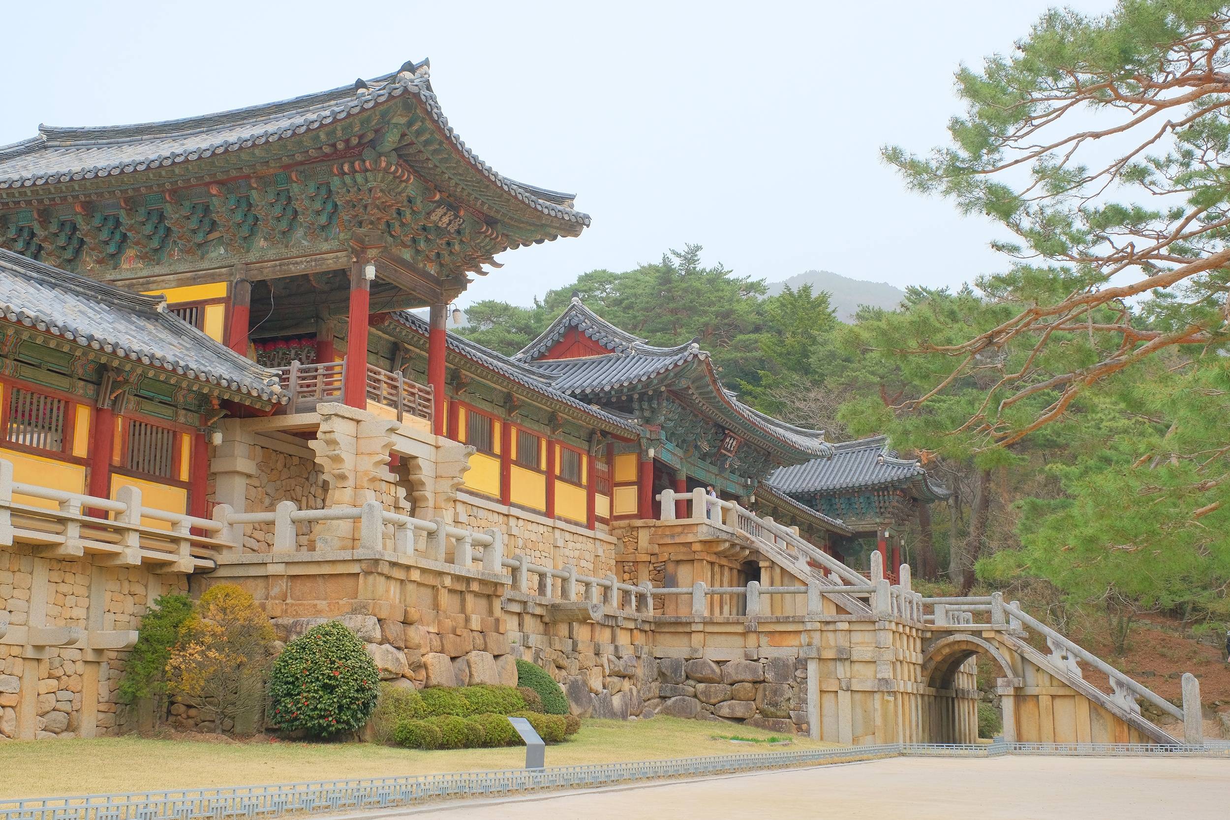 Visite des sites culturelles de Gyeongju
