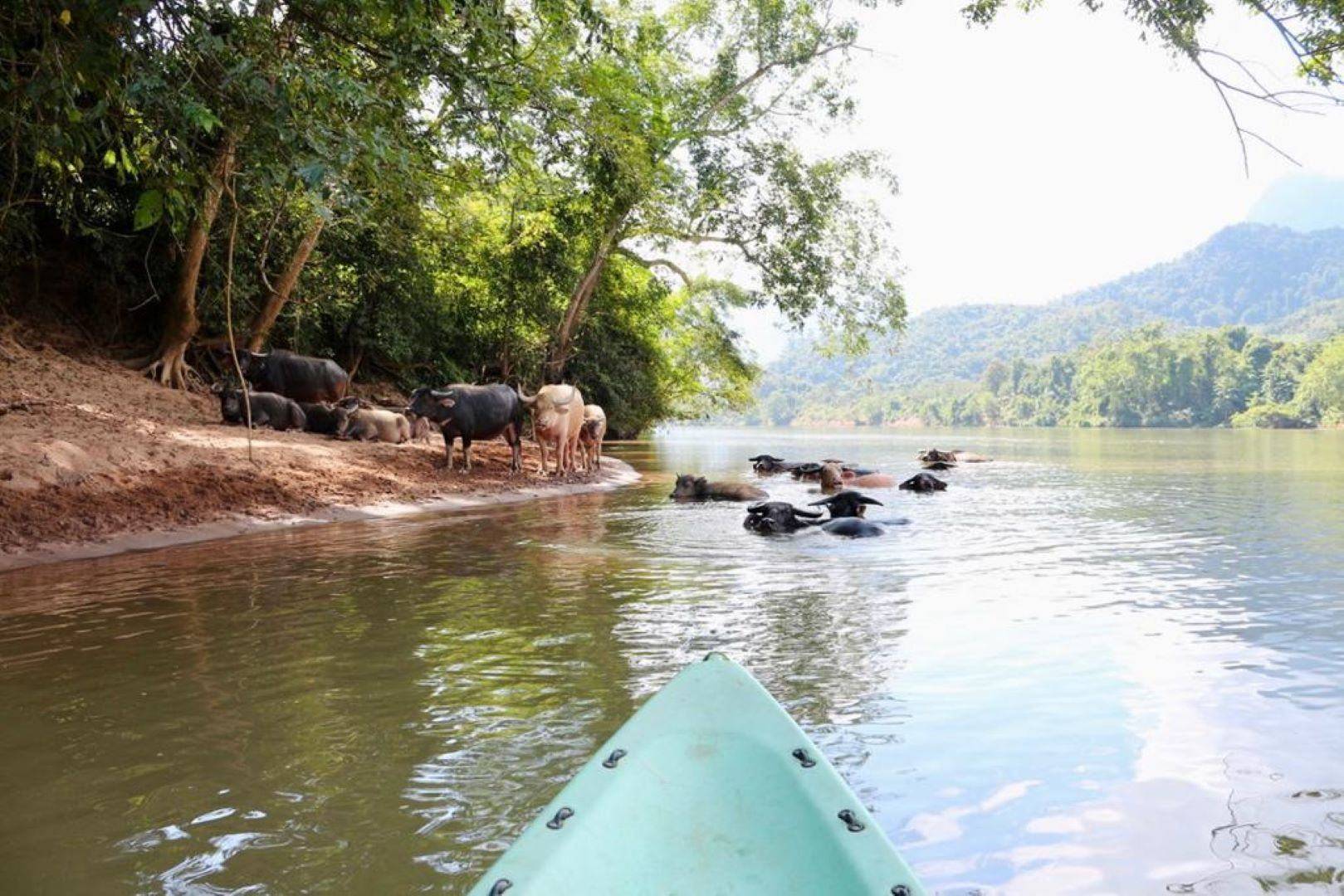 Tèk tèk, Berg Phanoy, Kajakfahren auf dem Nam-Ou-Fluss und Pool-Resort