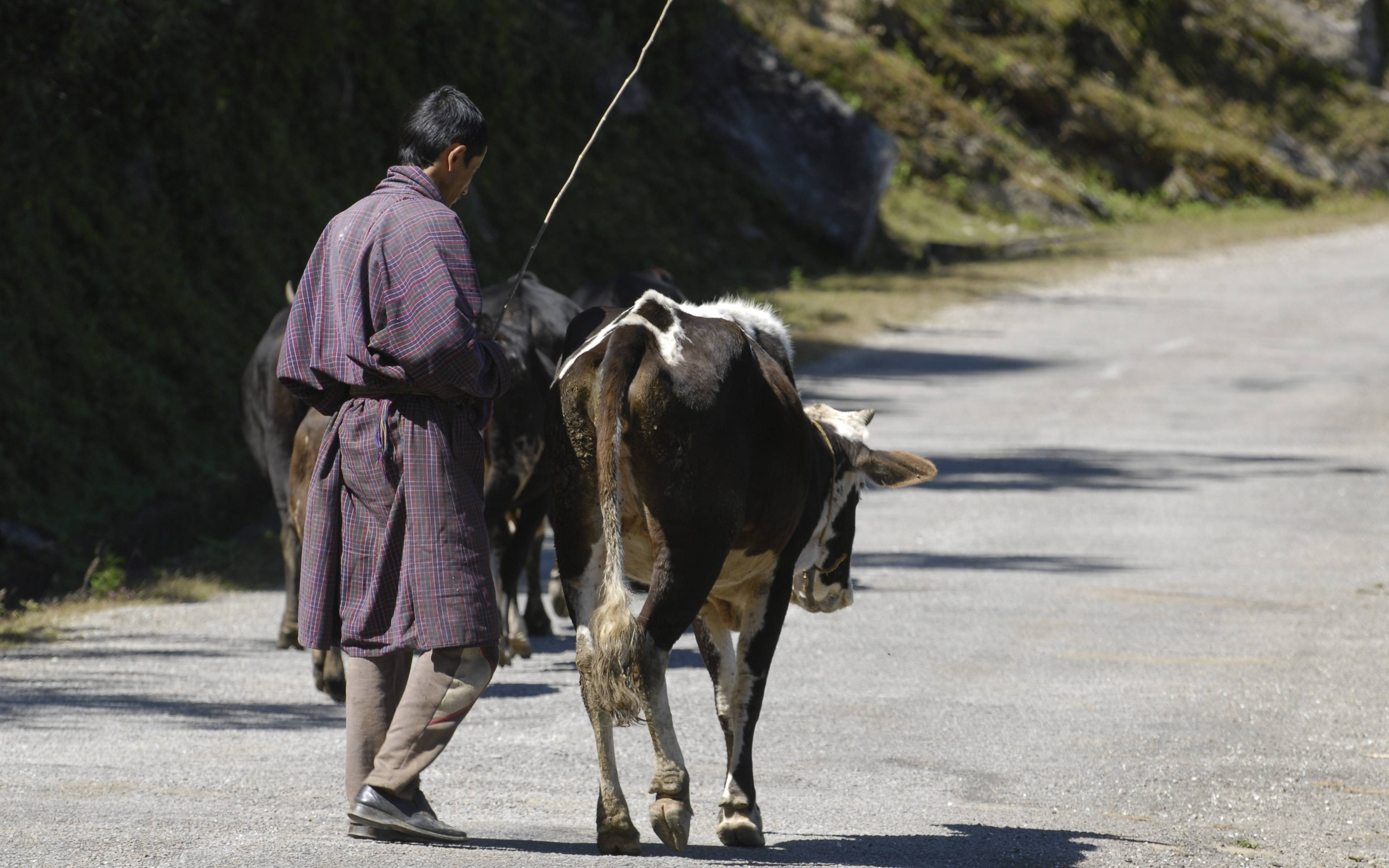 Thimphou – Paro (Trajet en moto 3h)