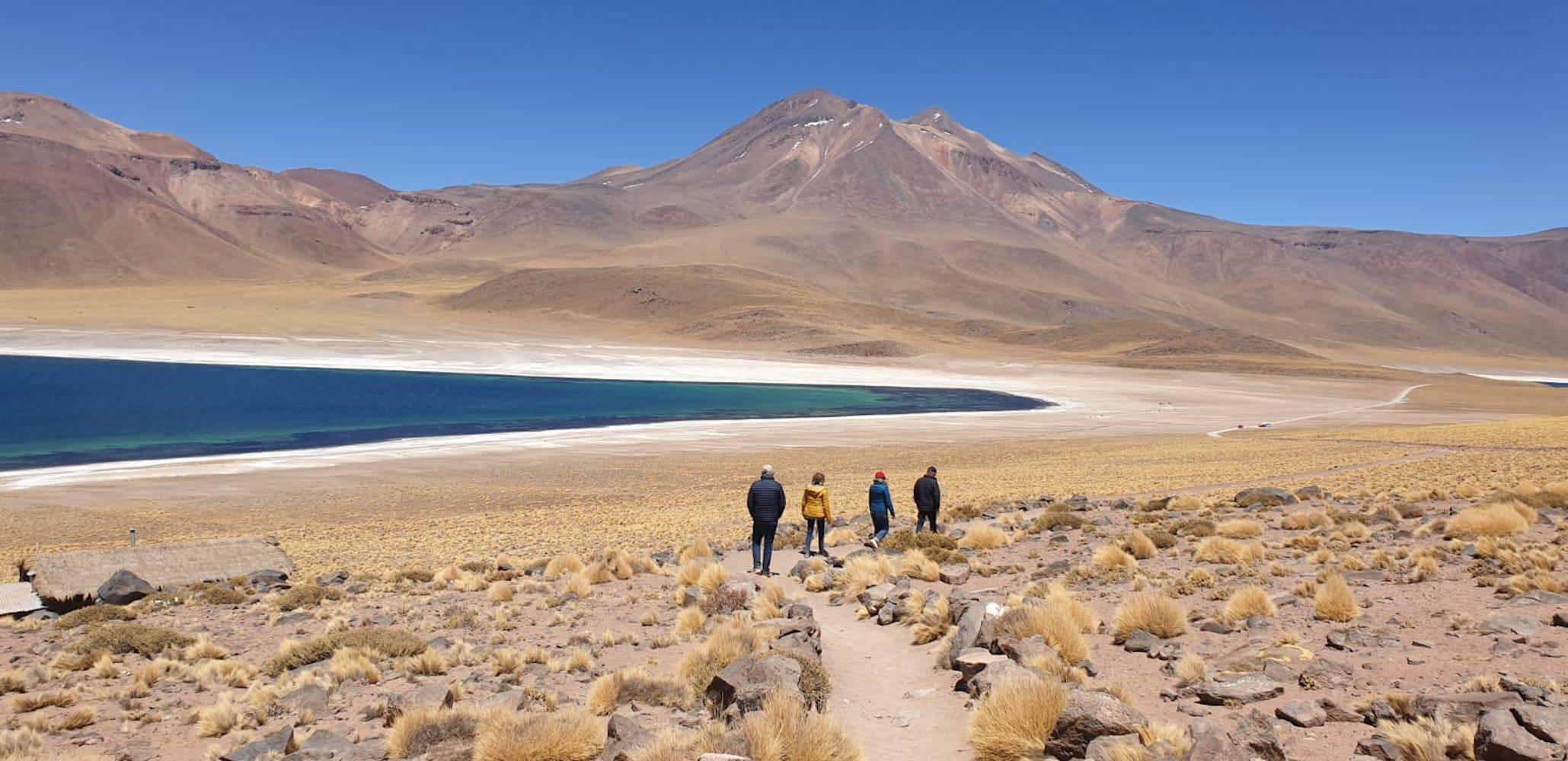 Immersion au coeur de l'Altiplano