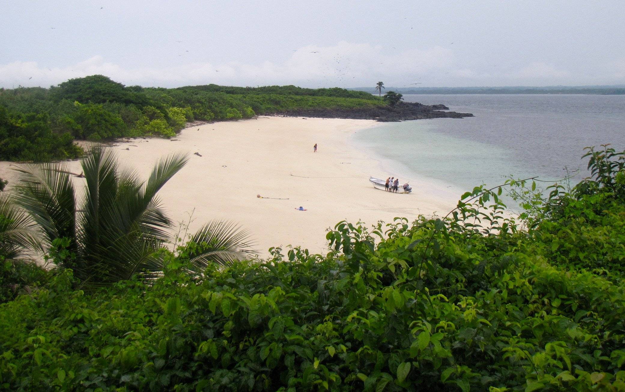 Isla Iguana