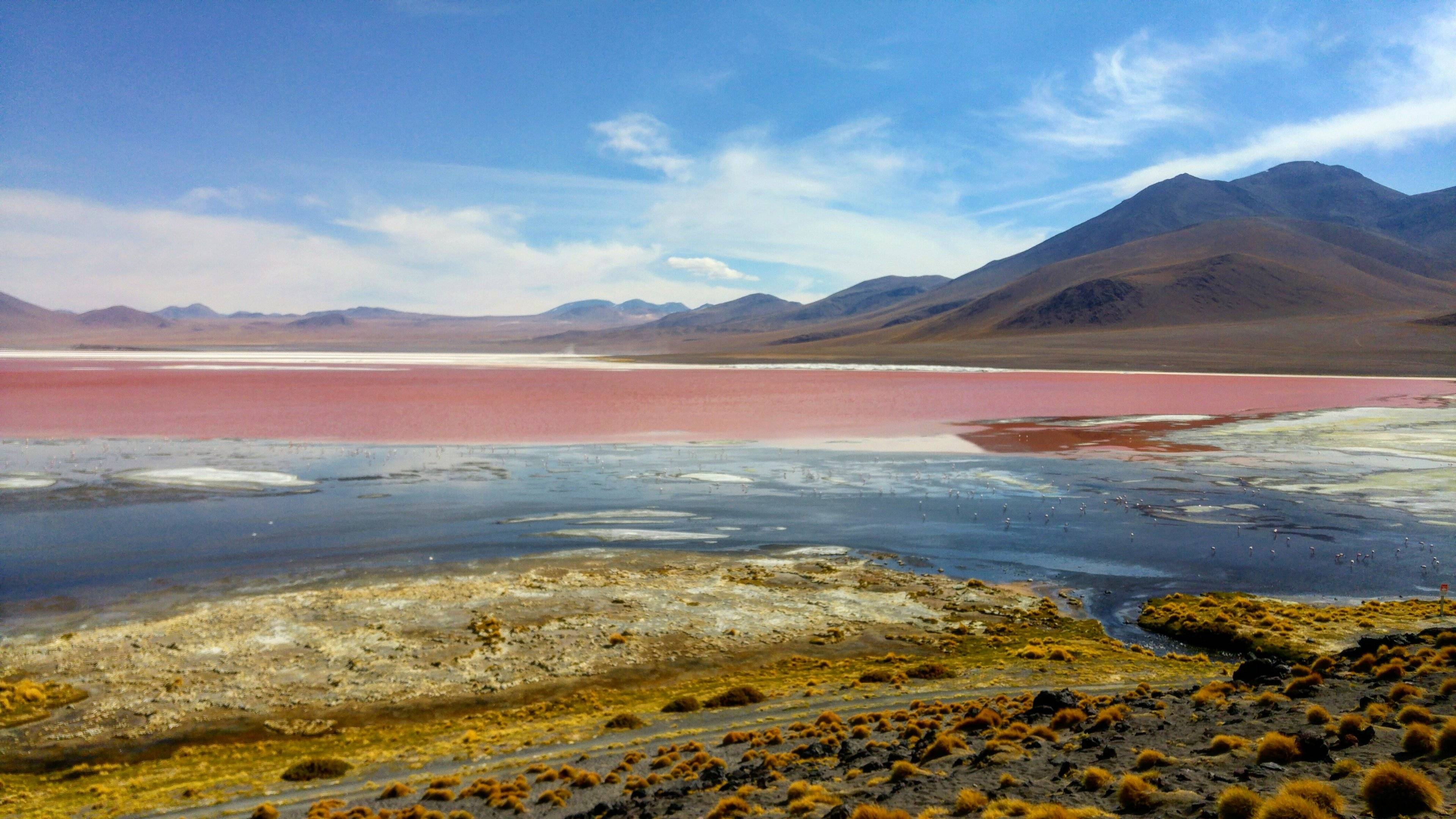 Il deserto di Siloli, la laguna colorata e la riserva Avaroa
