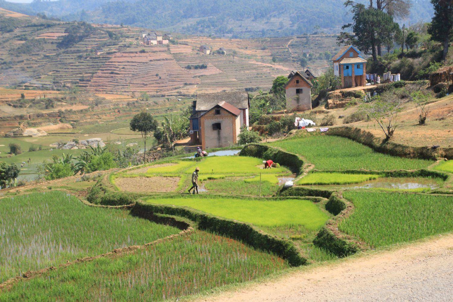 Paseo rural en Betafo y visita lugareños de Vakinankaratra