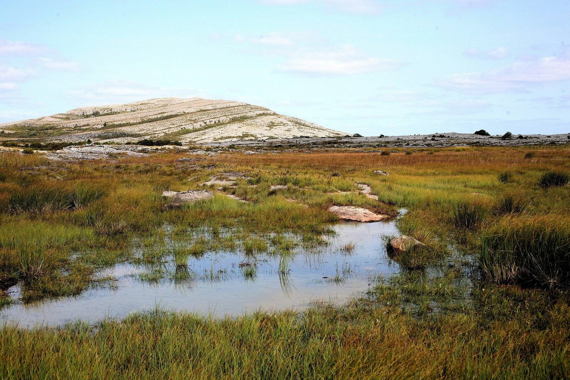 Découverte du Parc national du Burren