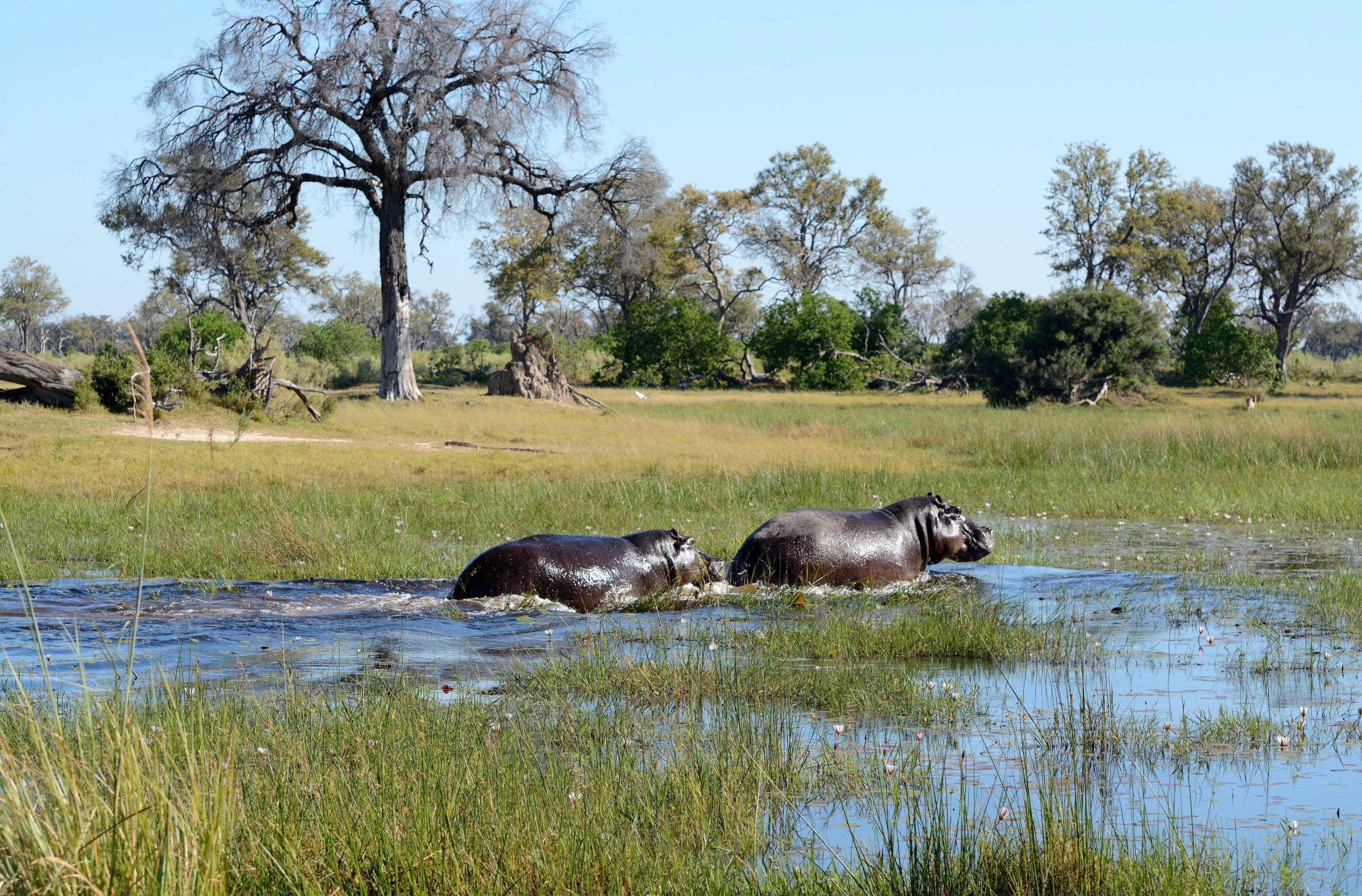 Cap vers la région du Kavango