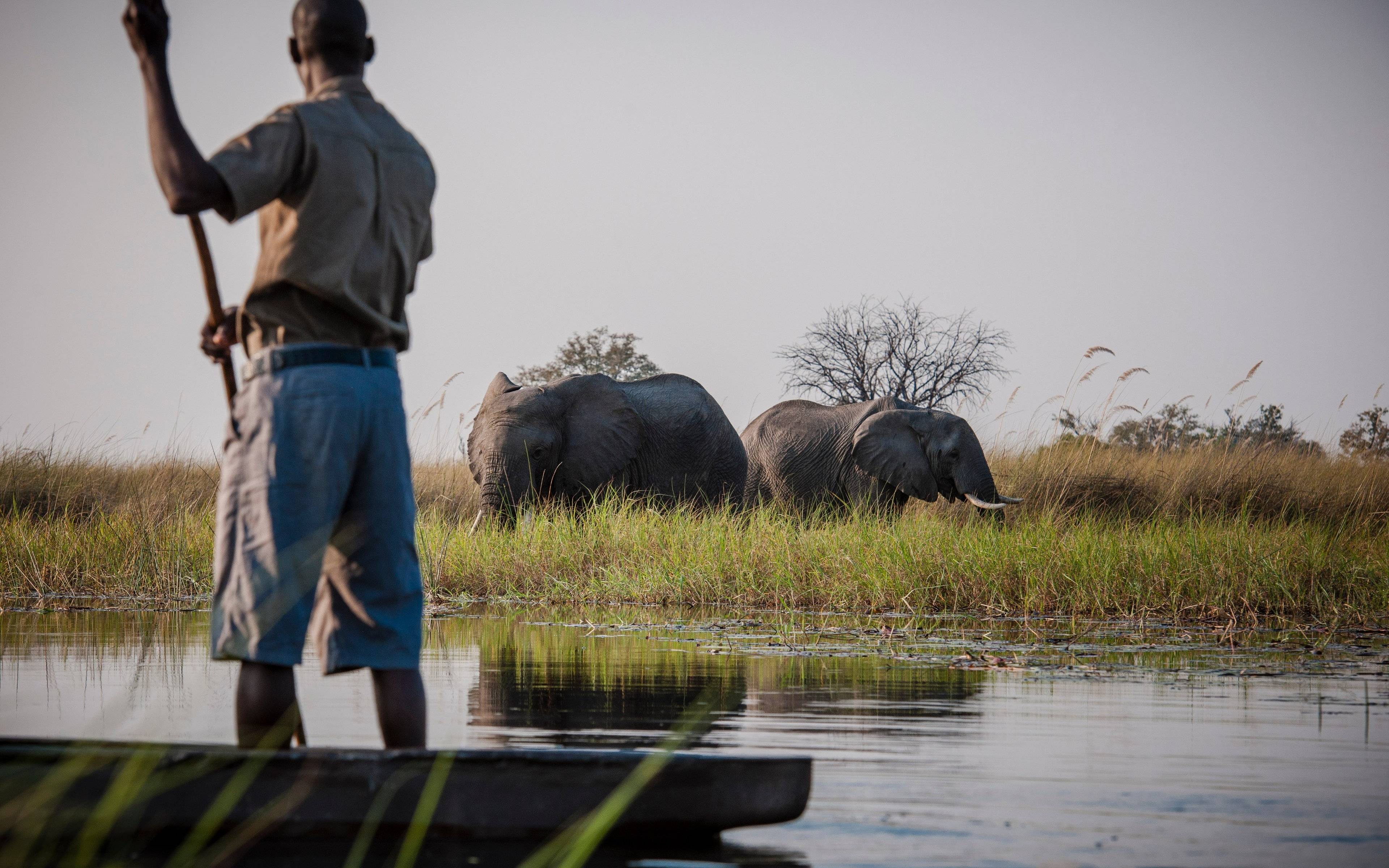 Au fil de l'eau dans le delta de l'Okavango
