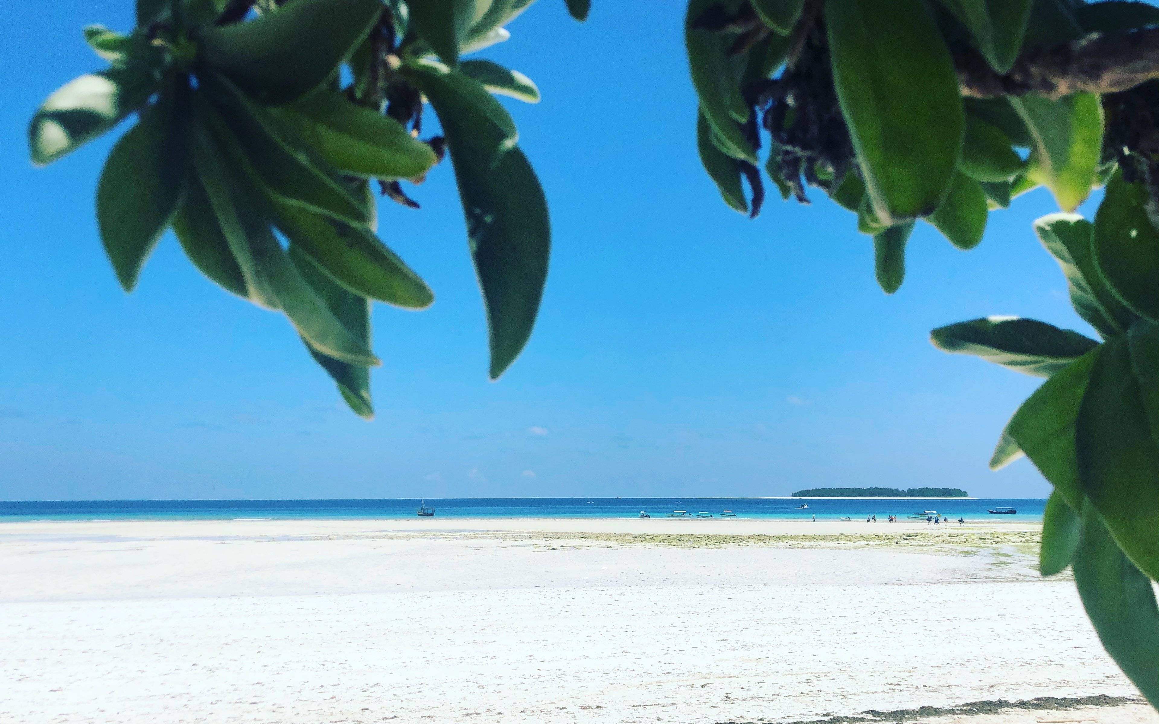 Benvenuti sull'Isola delle spezie: Zanzibar!