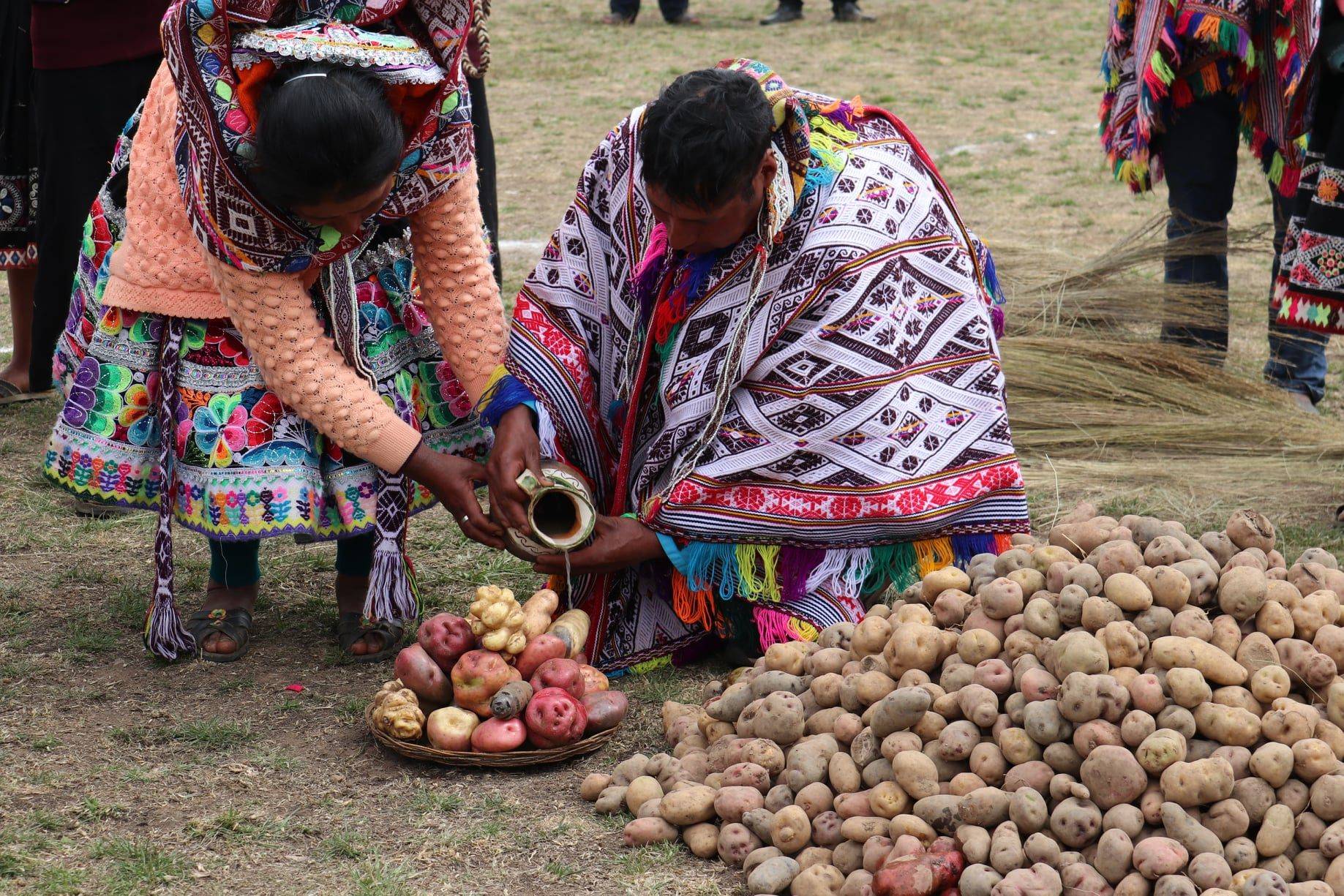 Kartoffeln und ihre Bedeutung in den Anden