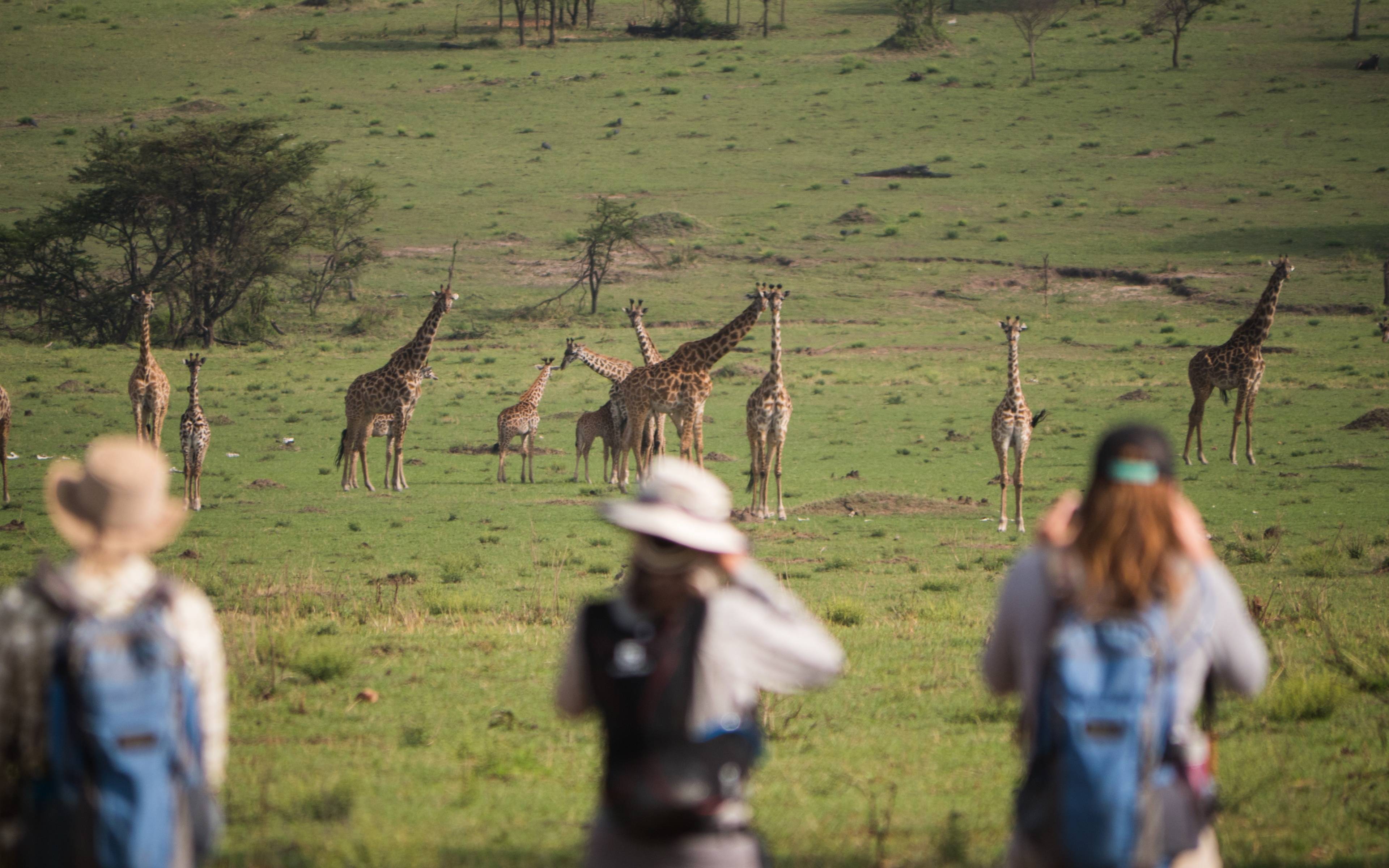 Abenteuer Serengeti: Start der Wildnis-Wanderung
