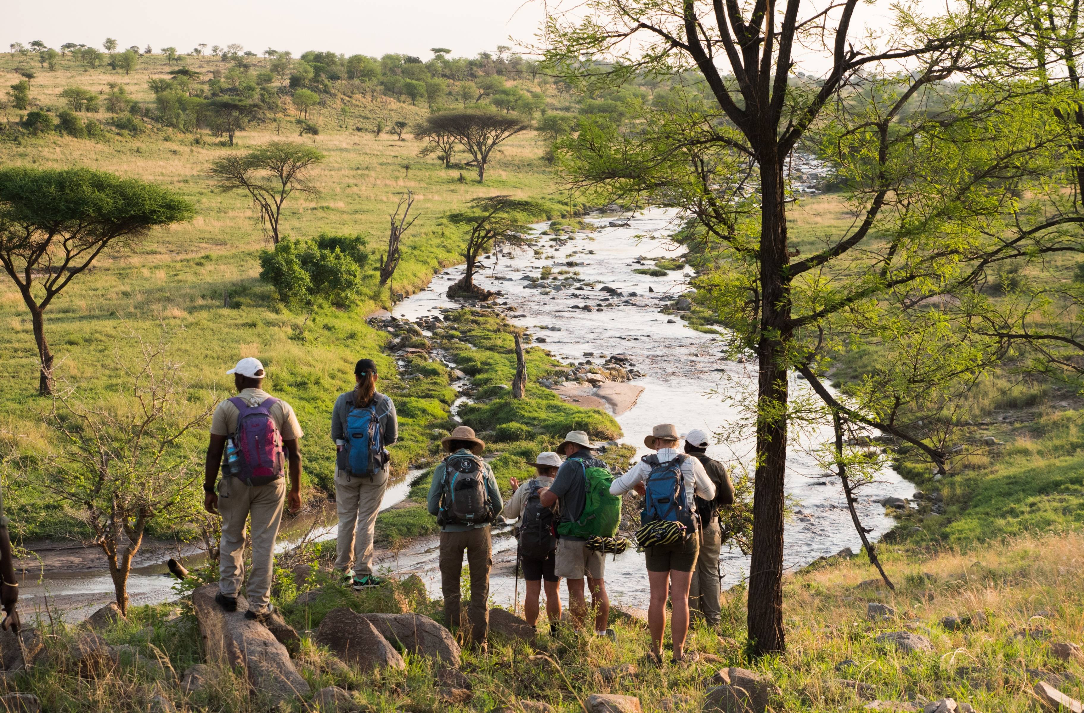 Wanderlust Serengeti