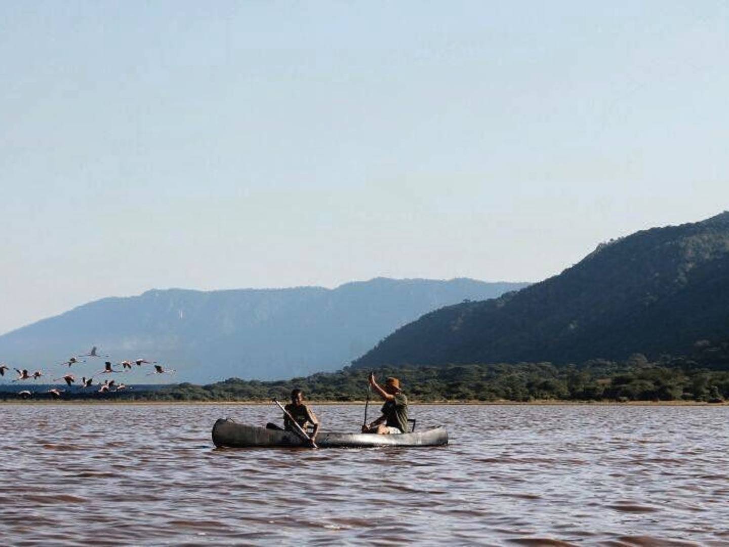 Alla scoperta del magnifico Parco Nazionale del Lago Manyara!