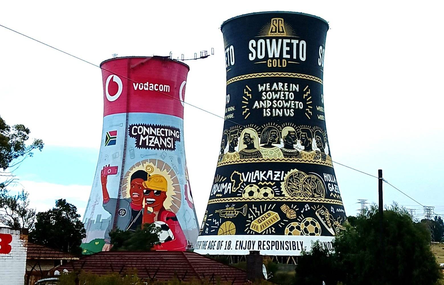 Alla scoperta di Johannesburg e Soweto